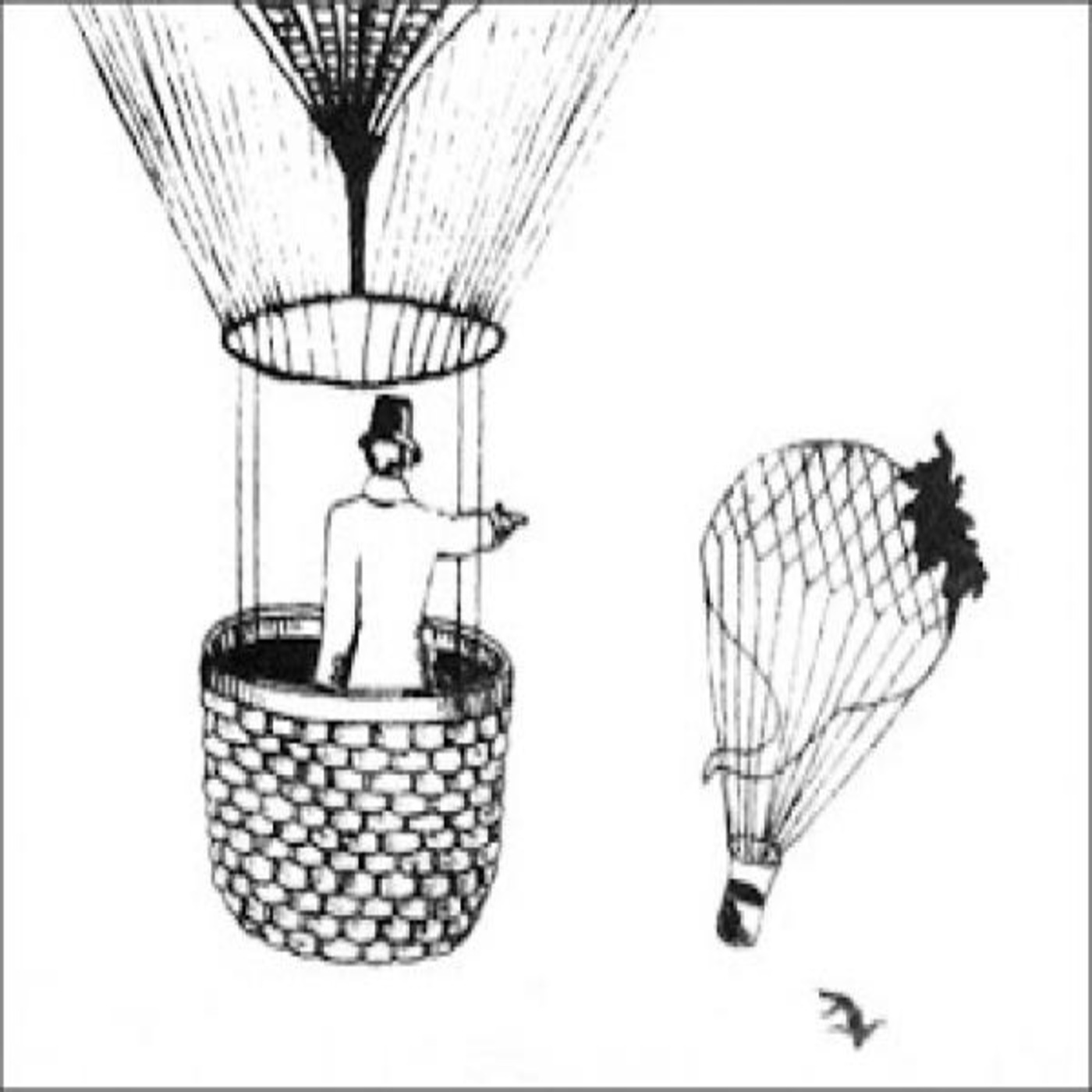 MIRIAM COSSAR