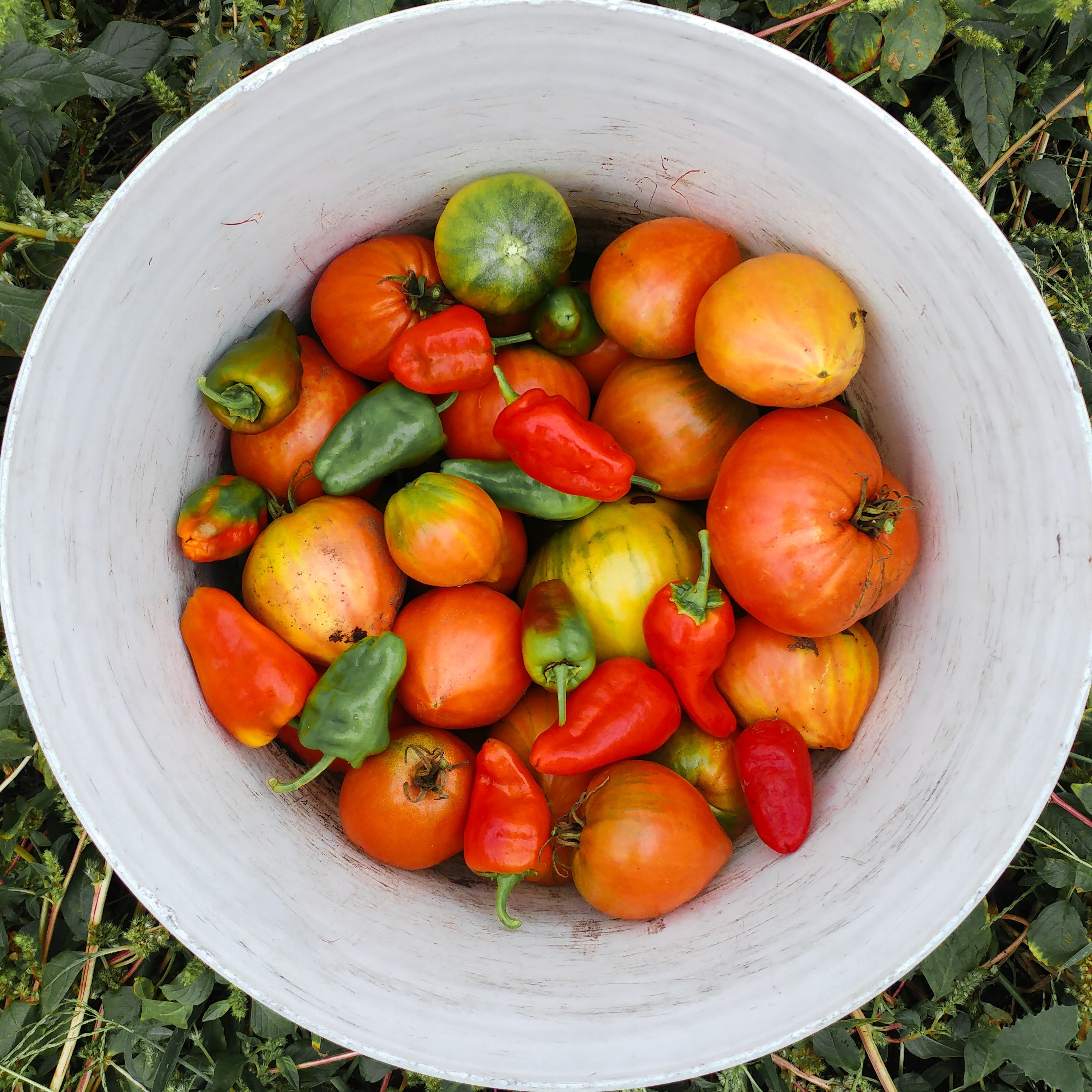 South Dakota Specialty Producers Podcast Episode 3