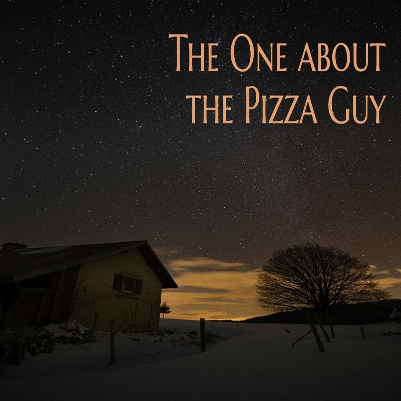 The One about the Pizza Guy episode artwork