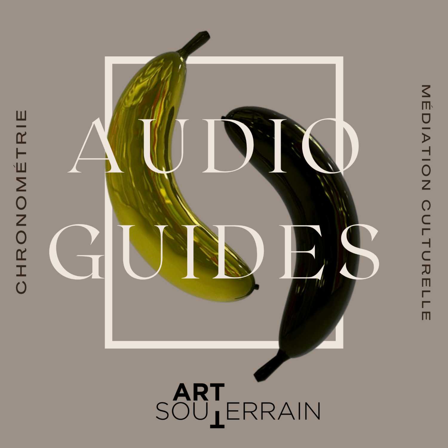 Audio Player Image