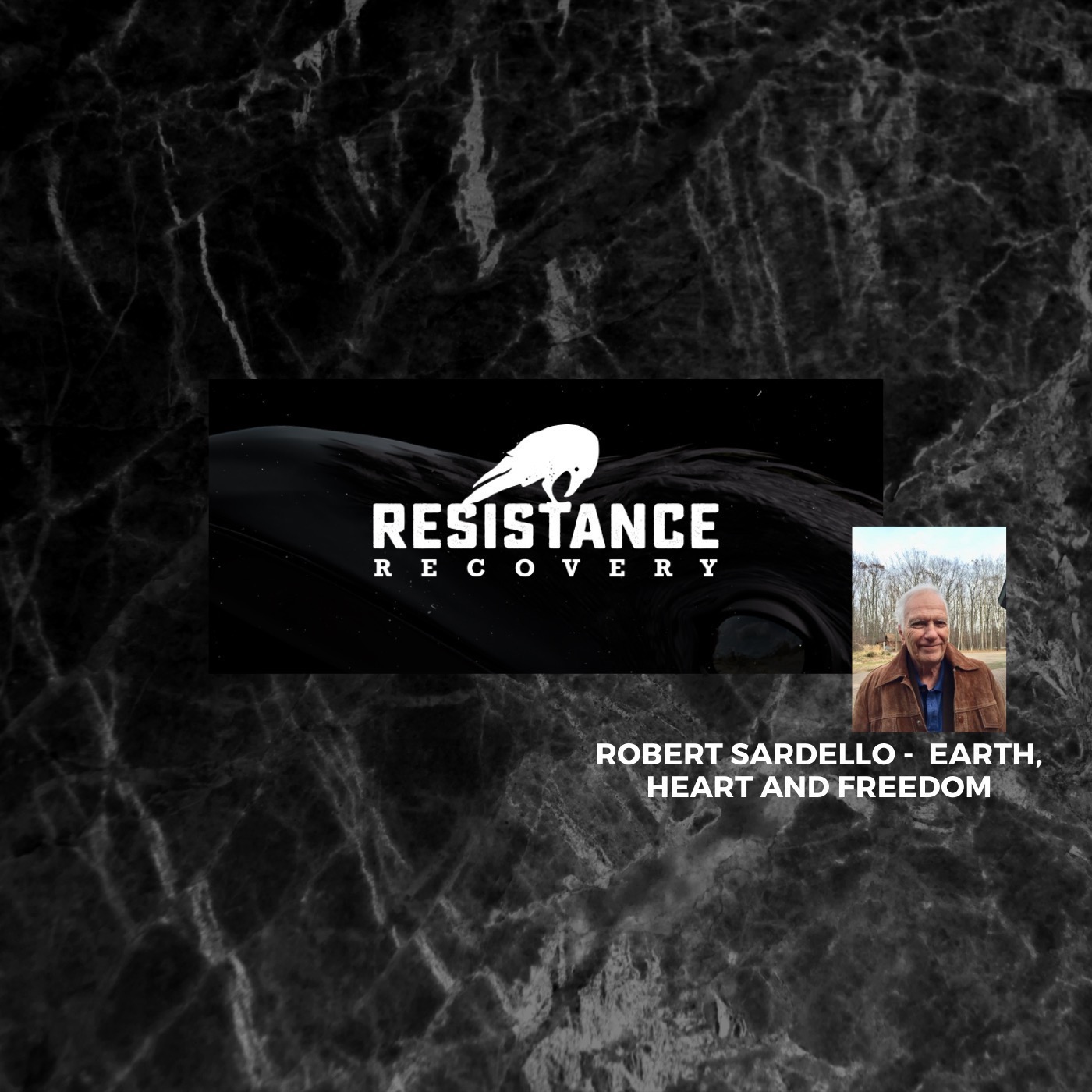 Resistance Recovery