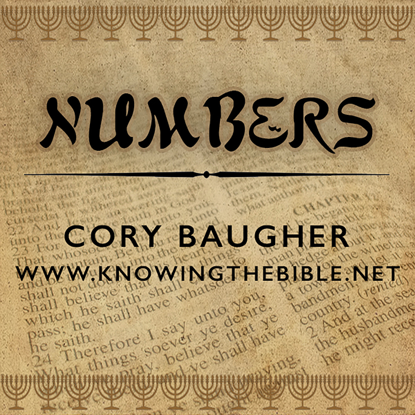 Numbers 14:1-25