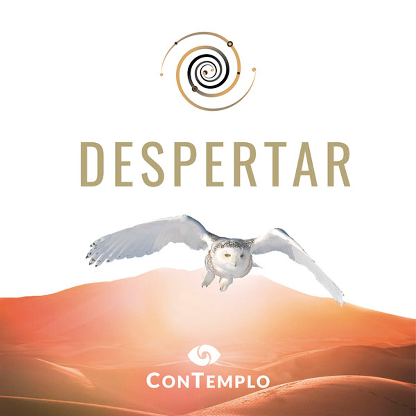 Audio Player Image