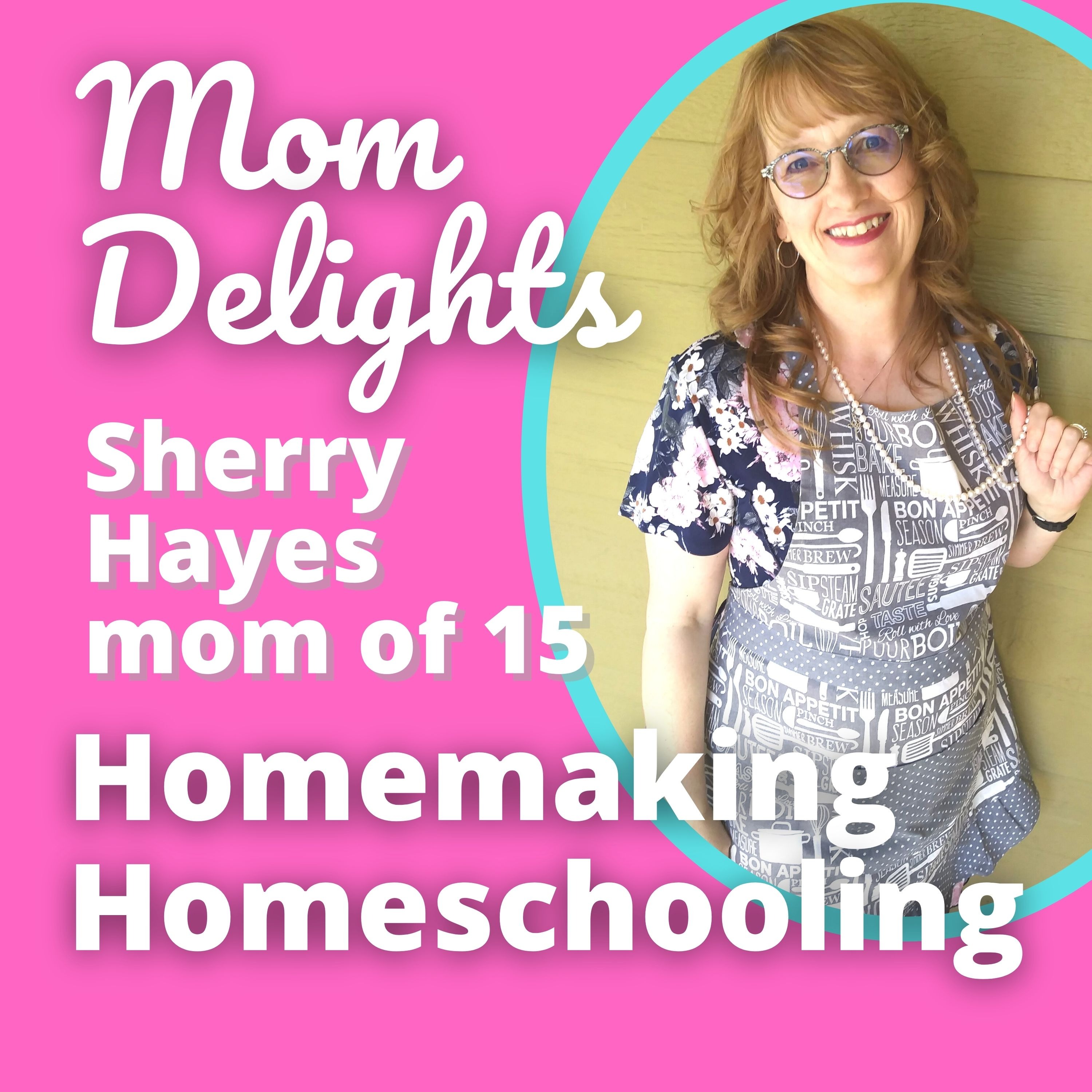 15 Hacks for Homeschool Scheduling, v. 1, Episode 2