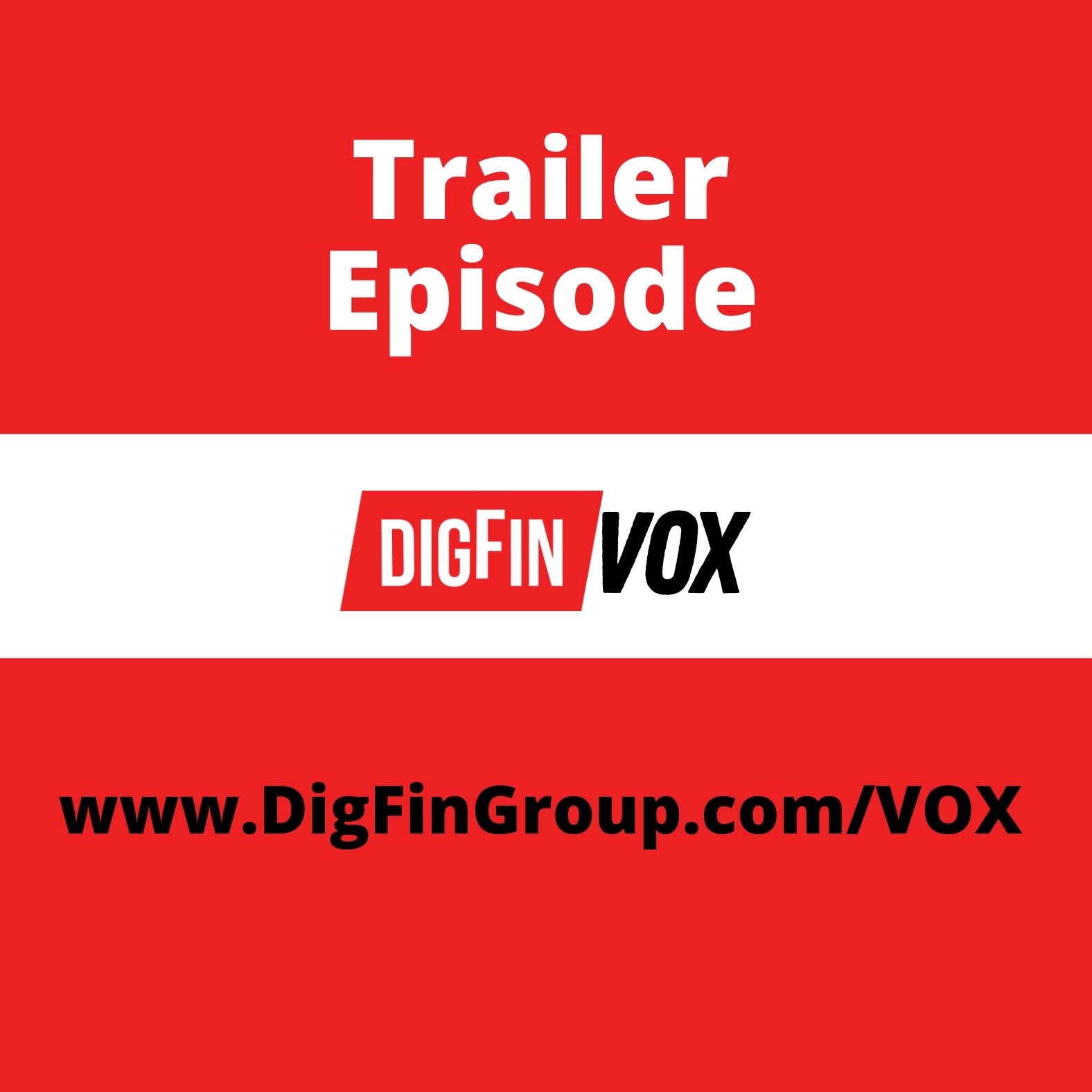 DigFin VOX