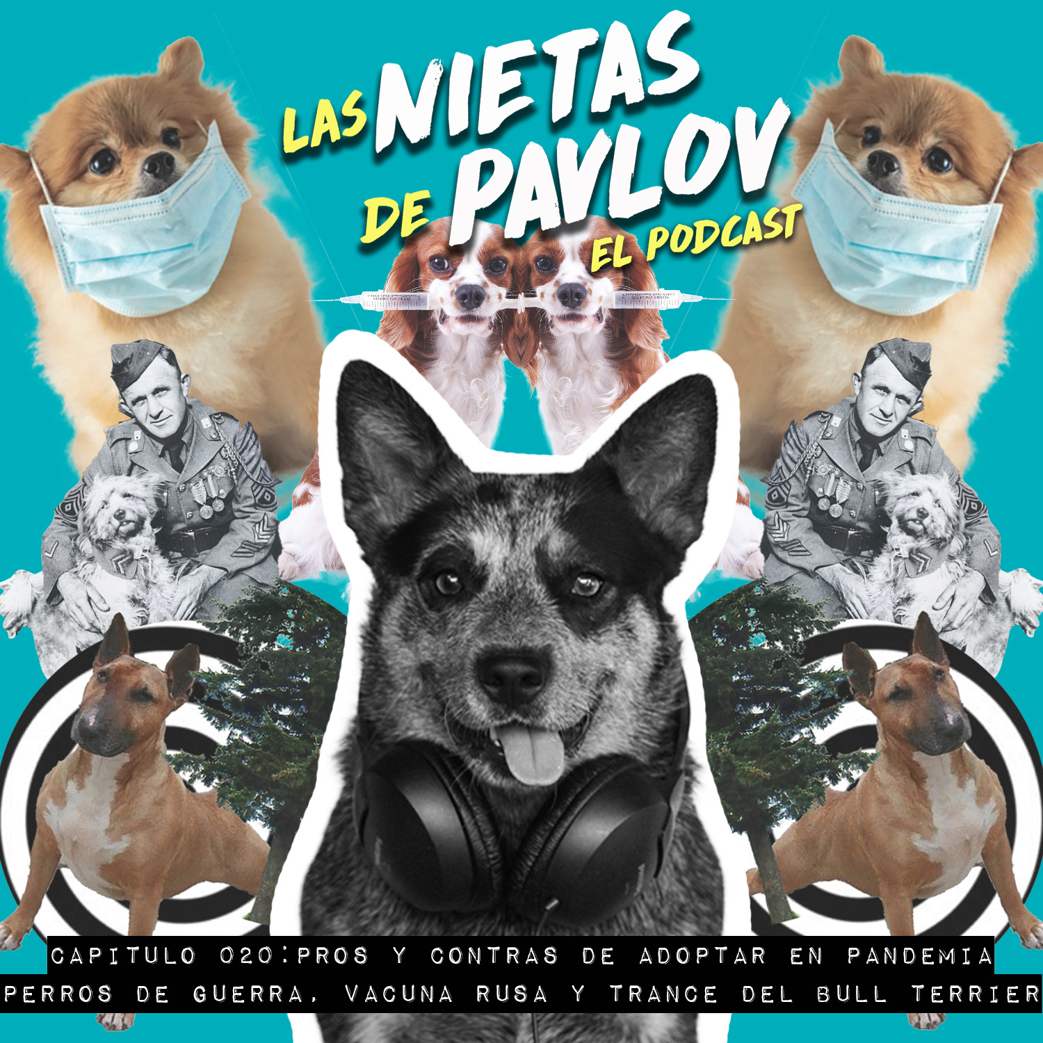 Las Nietas de Pavlov