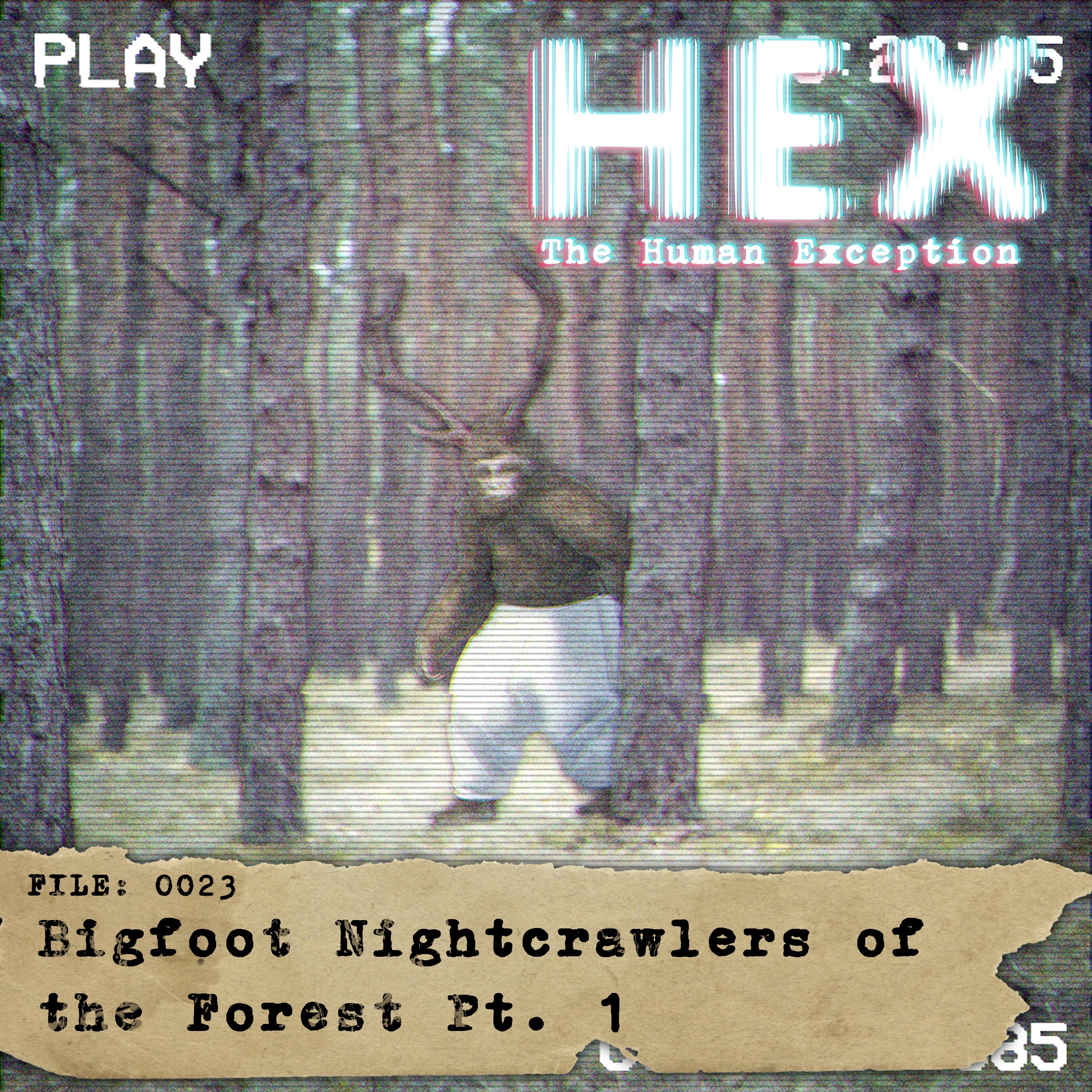 HEX - File 0023 - Bigfoot Nightcrawlers of the Forest Pt. 1