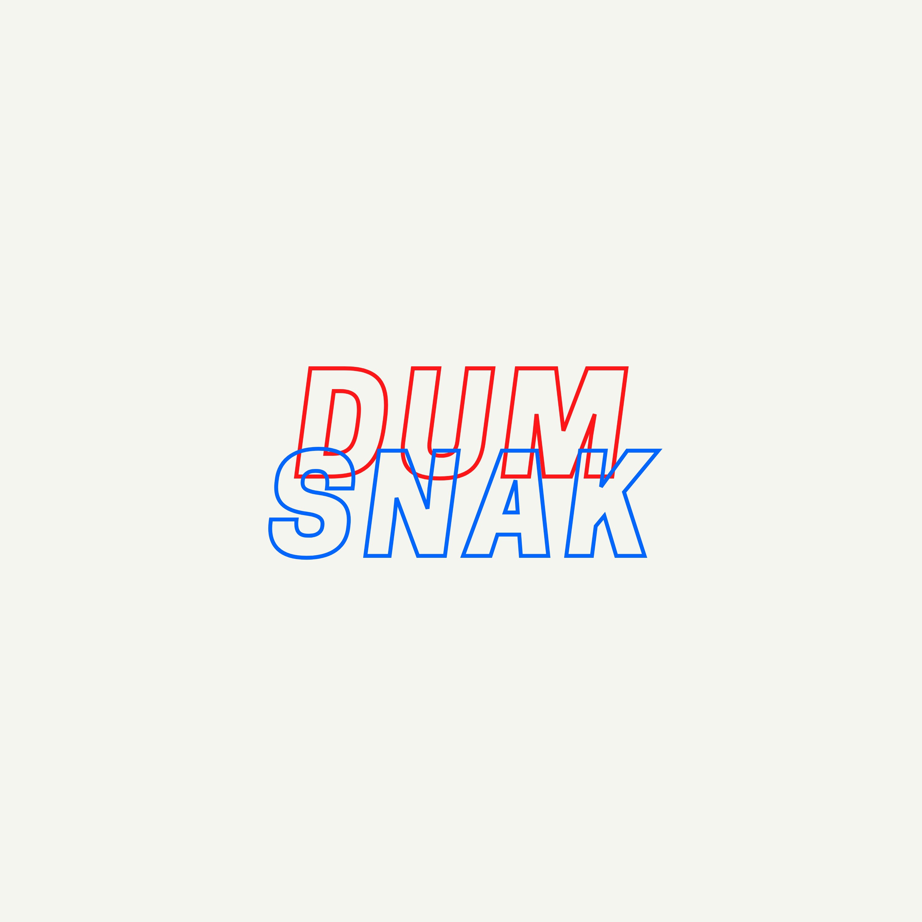 Dum Snak