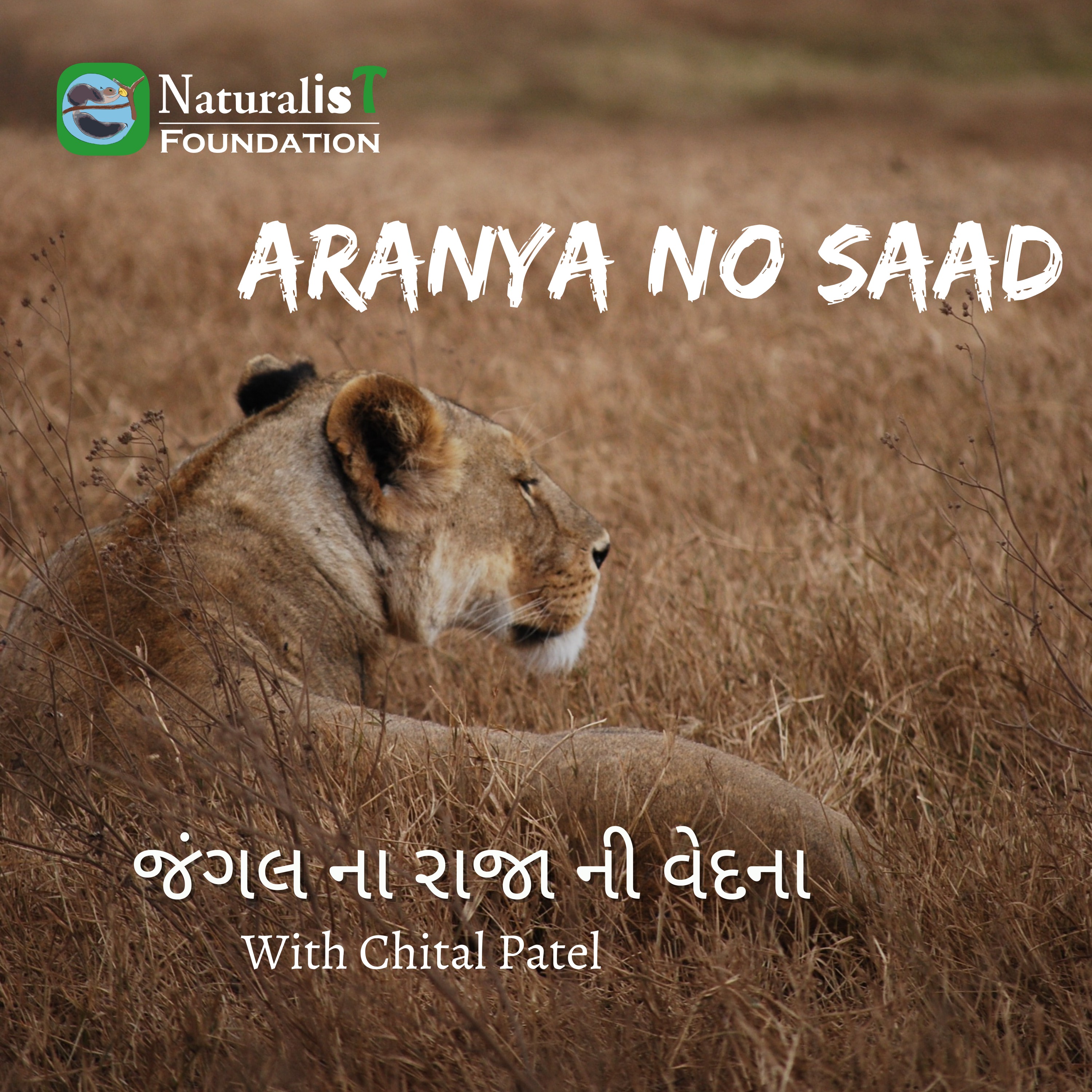 જંગલ ના રાજા ની વેદના