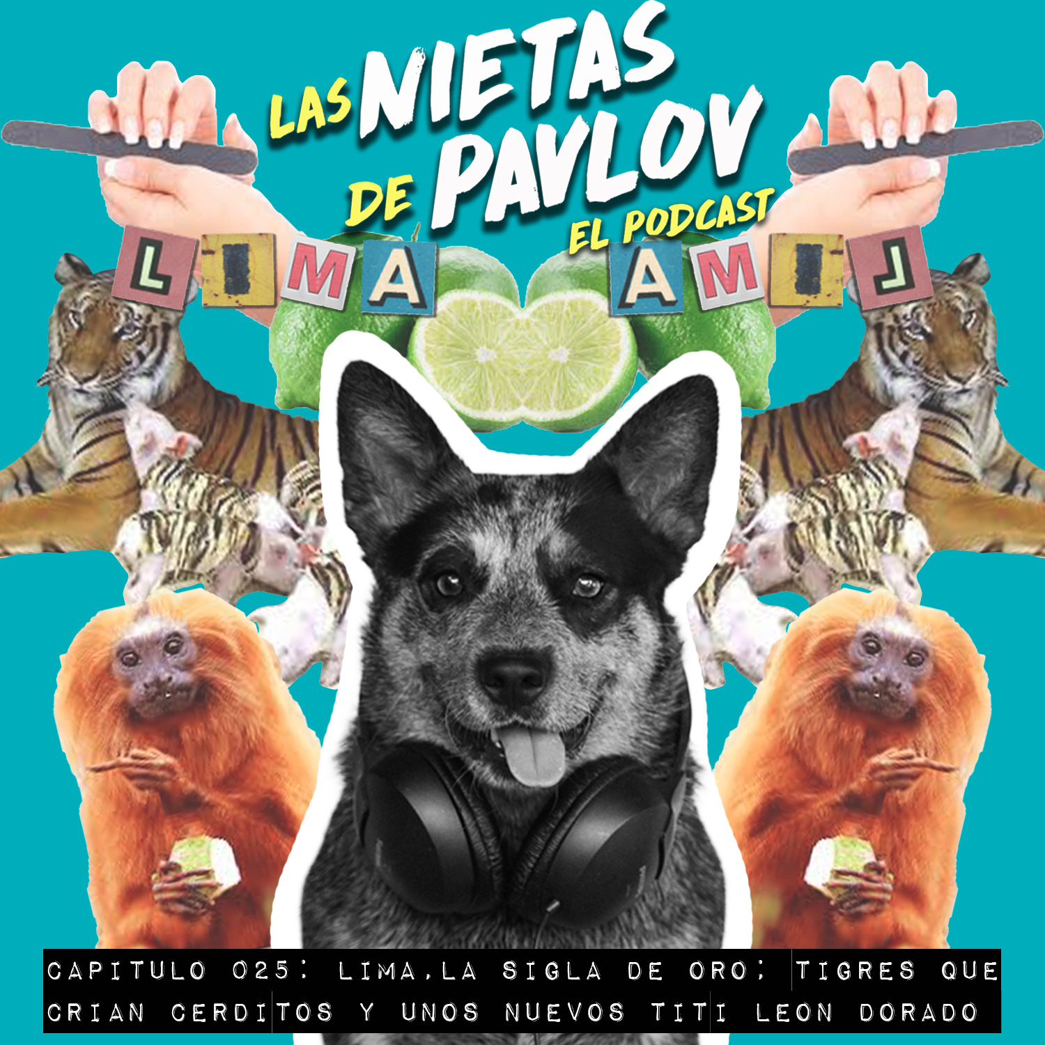 Las Nietas de Pavlov