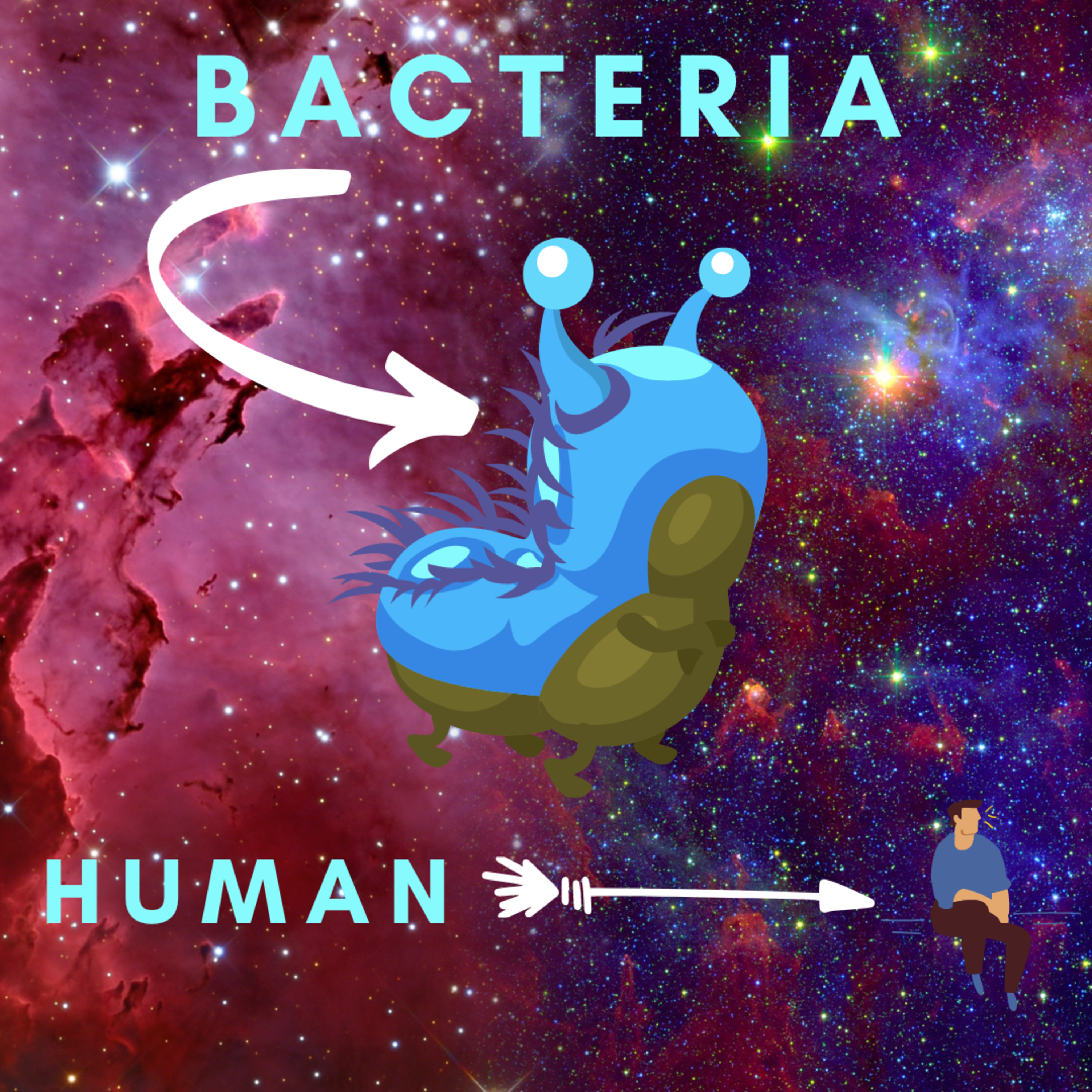 SciFind