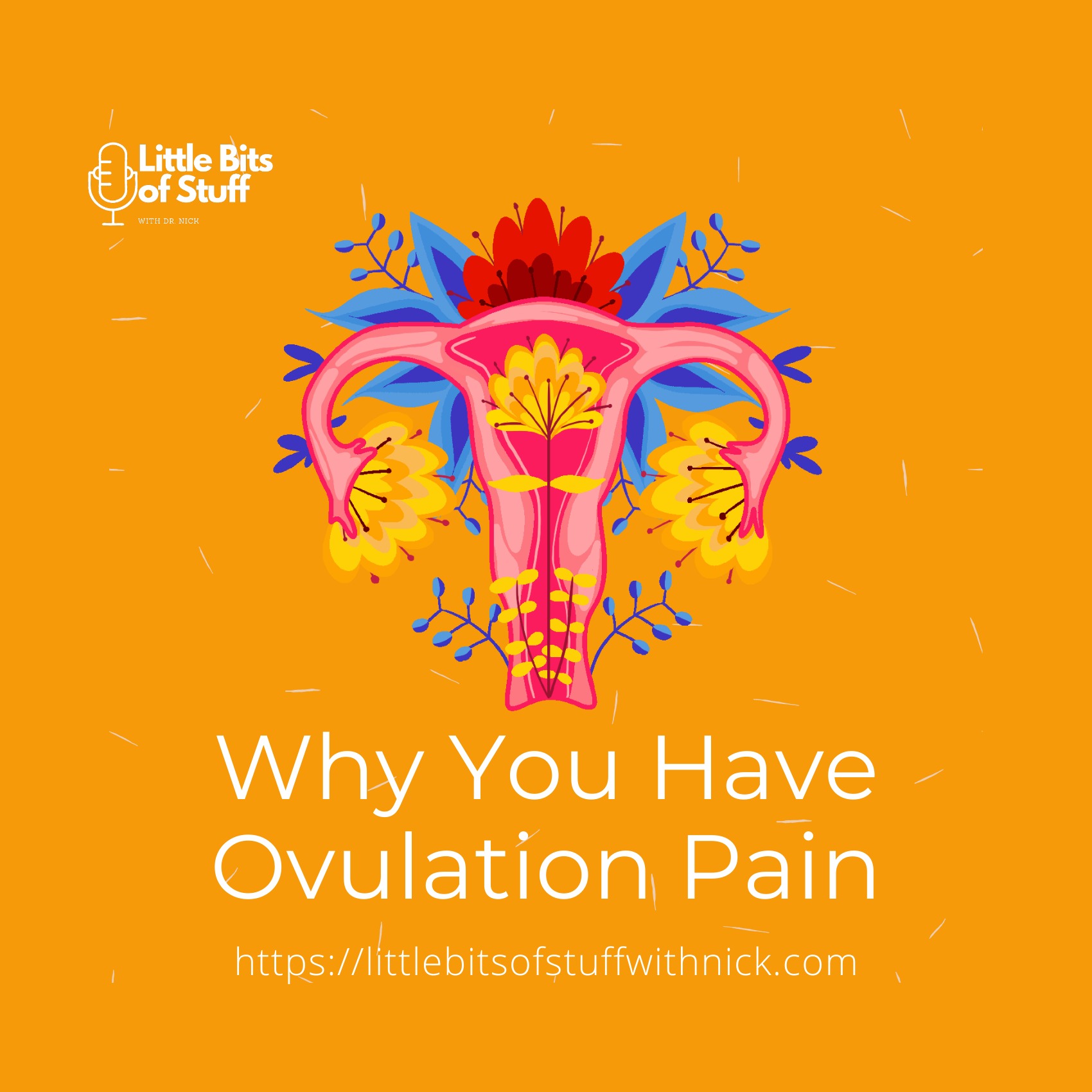 Why You Have Ovulation Pain