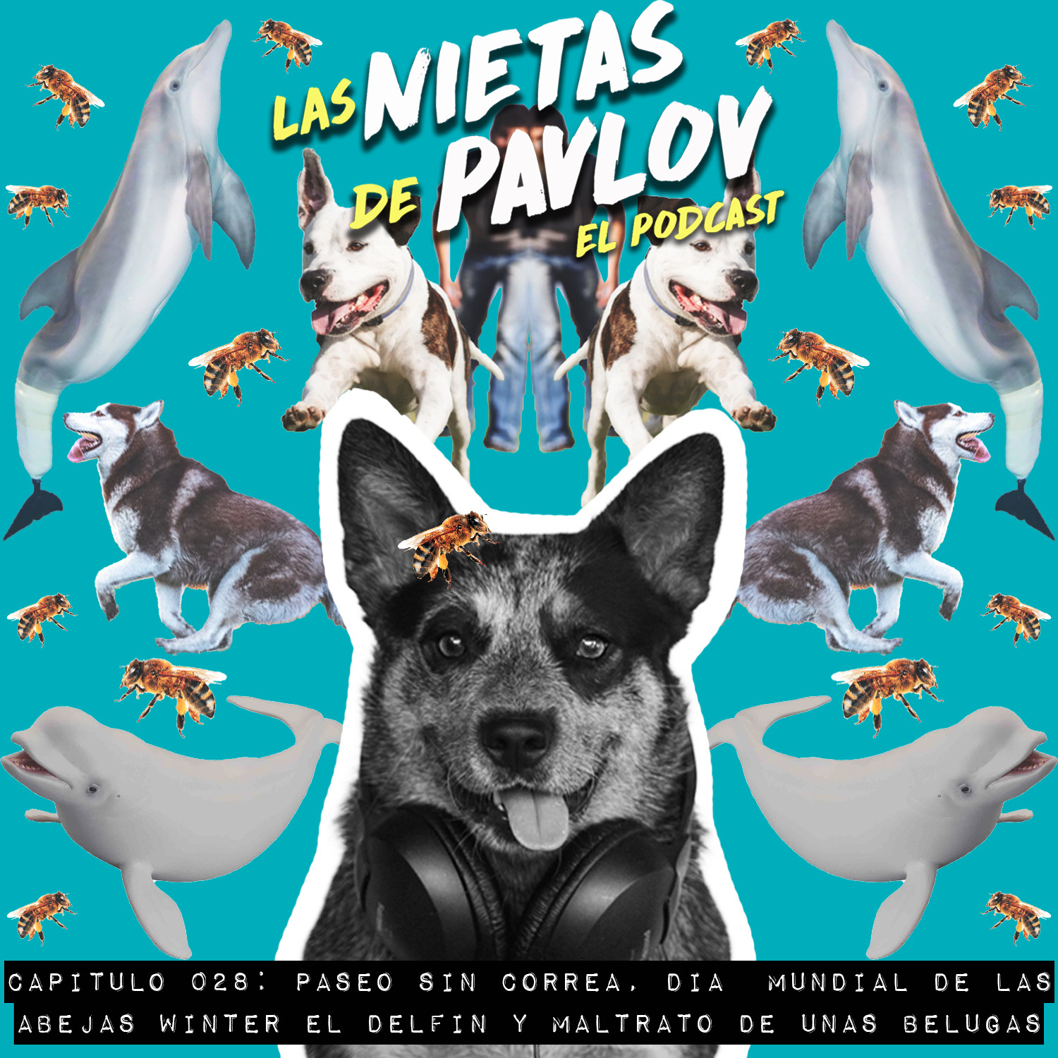 Las Nietas de Pavlov