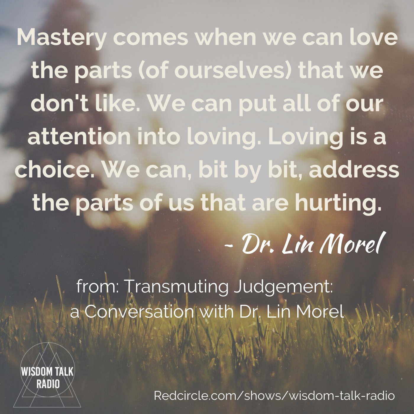 Transmuting Judgement: a Conversation with Dr. Lin Morel