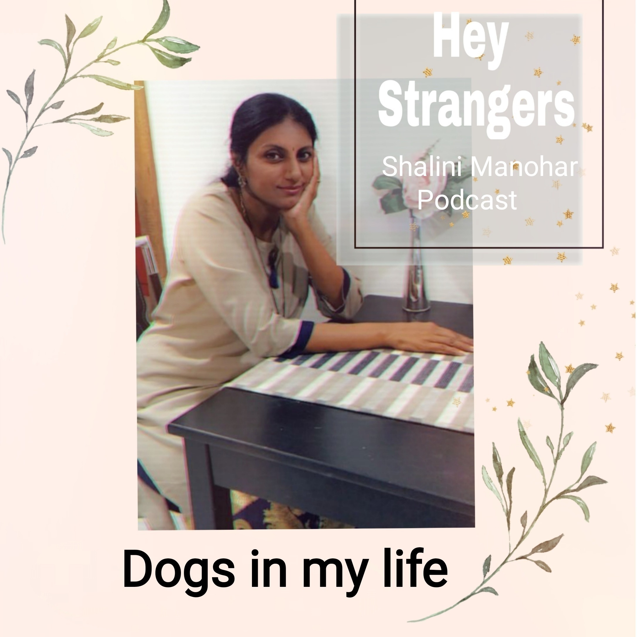 Shalini Manohar - Hey Strangers podcast