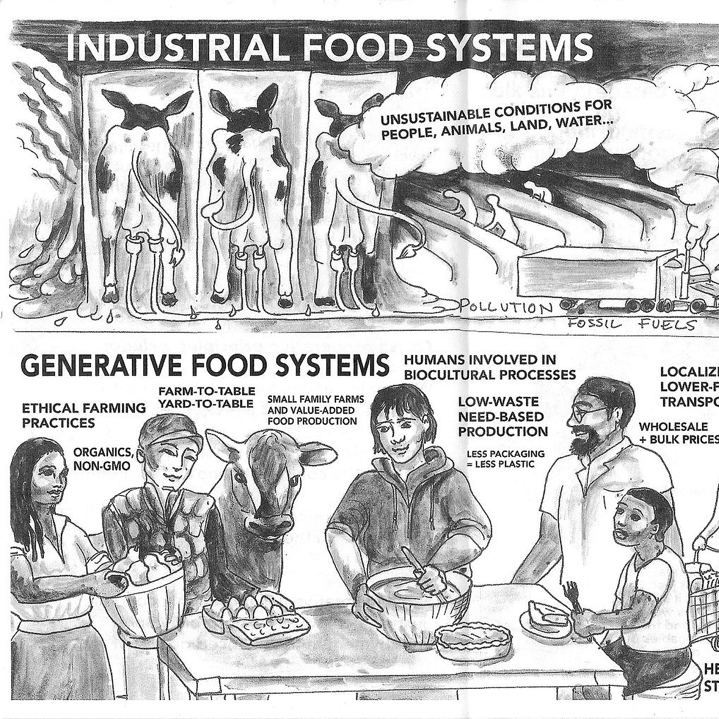 [04] MARSH: Food Cooperative