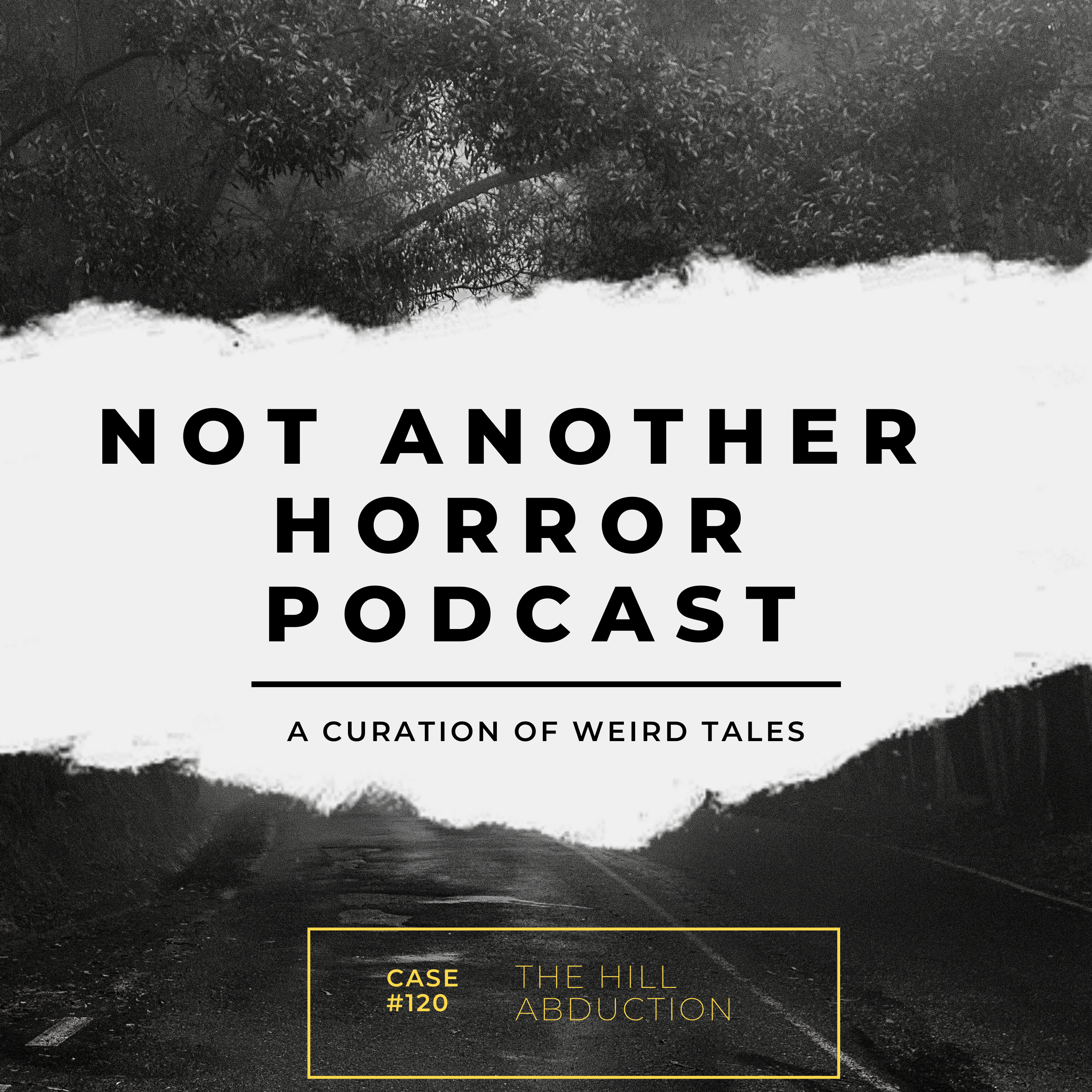 Not Another Horror Podcast