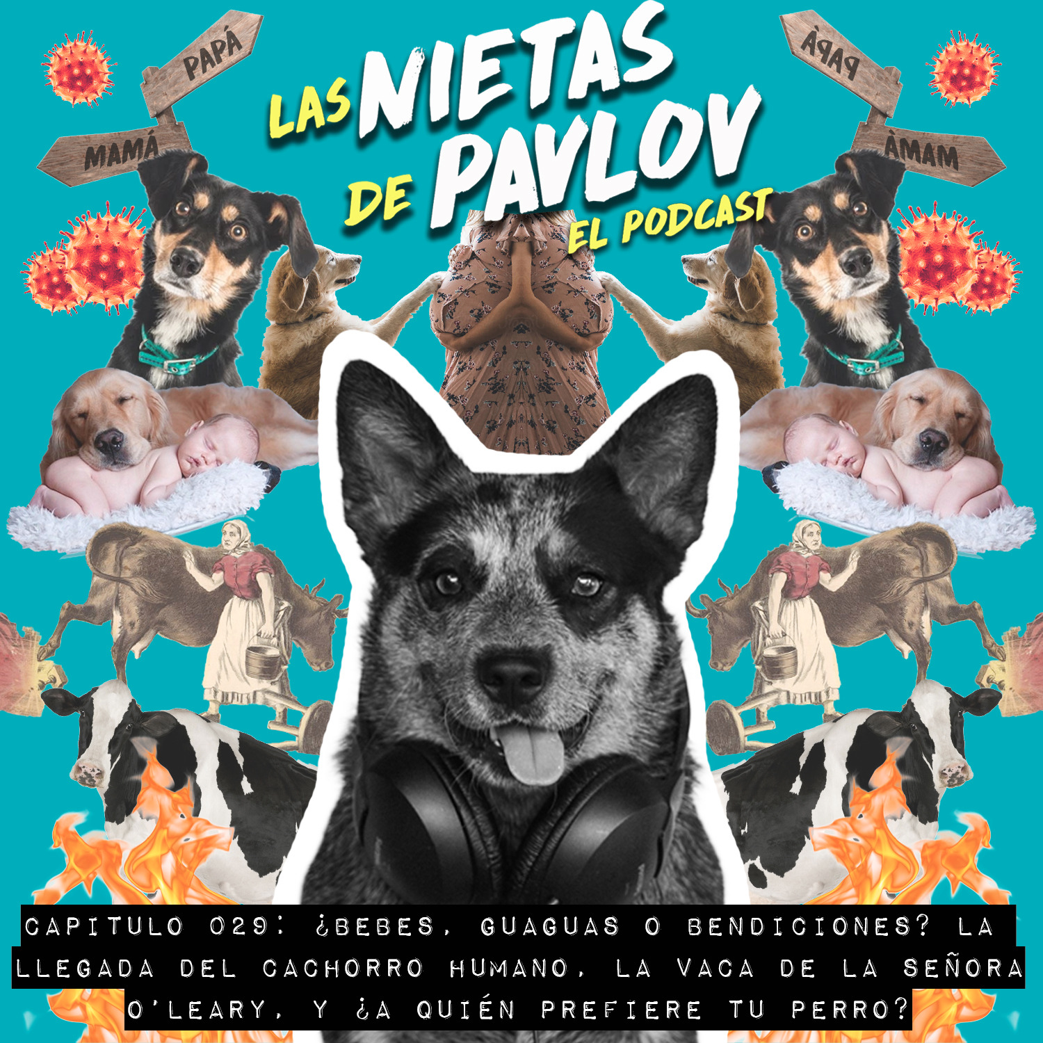 Las Nietas de Pavlov