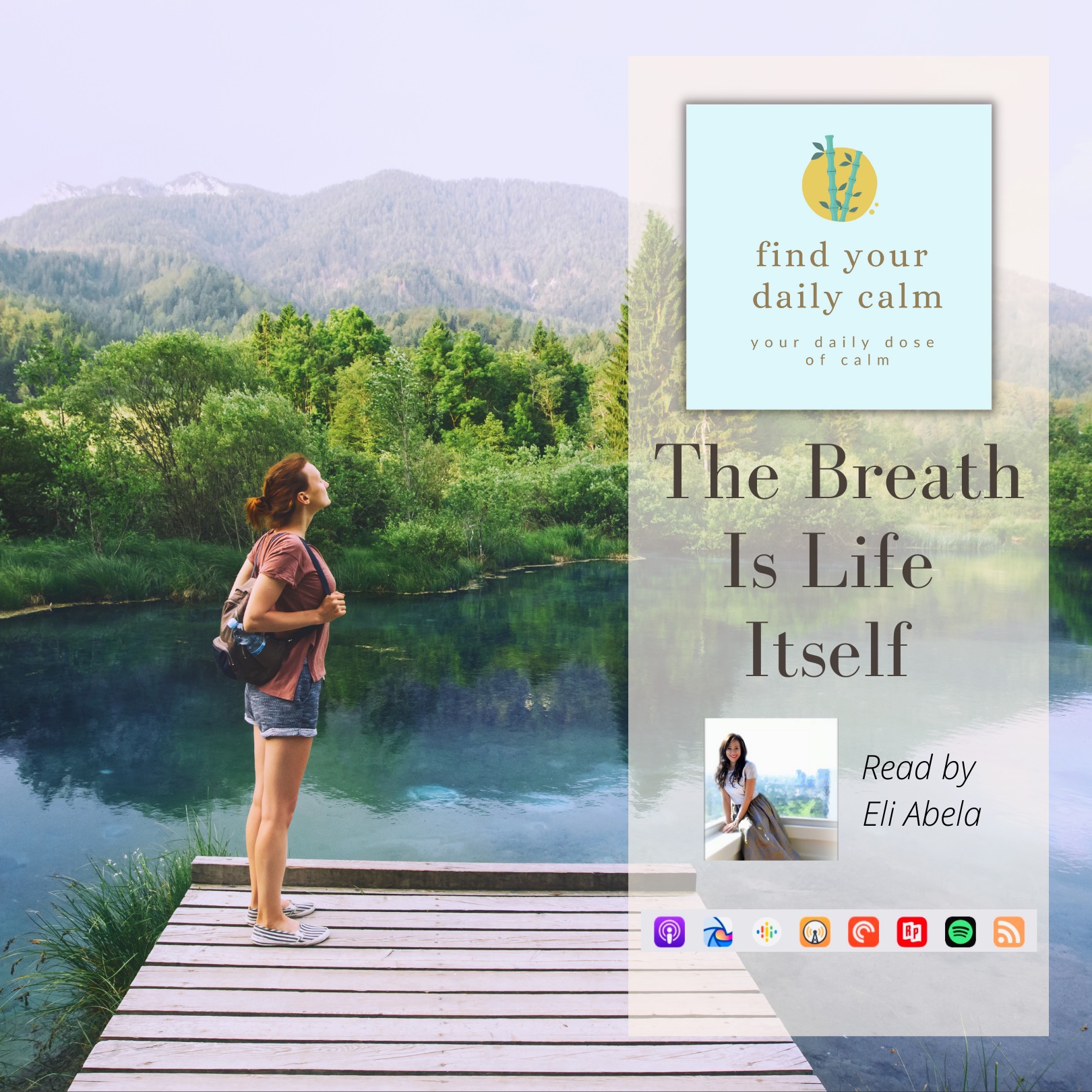 Find Your Daily Calm