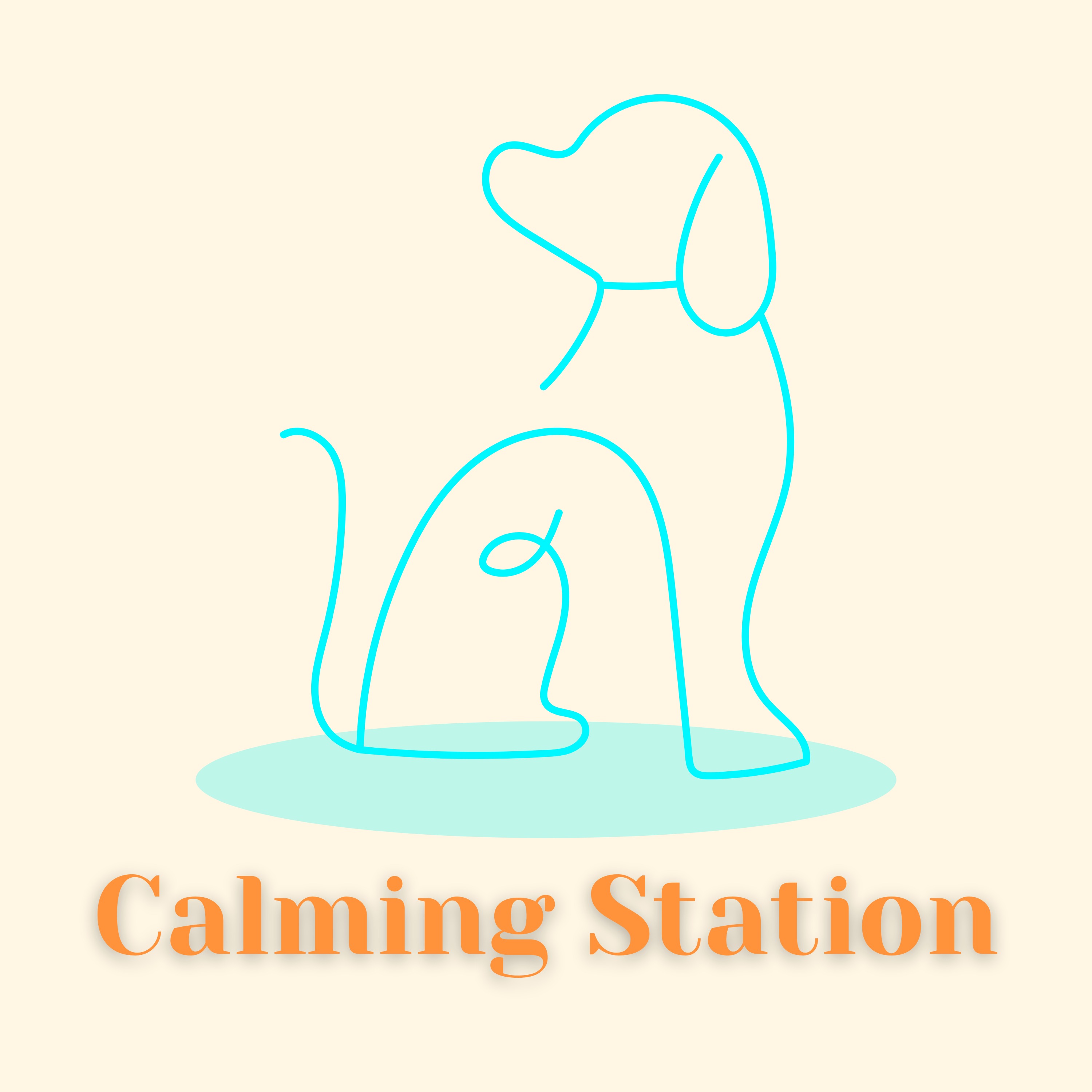 Audio Player Image