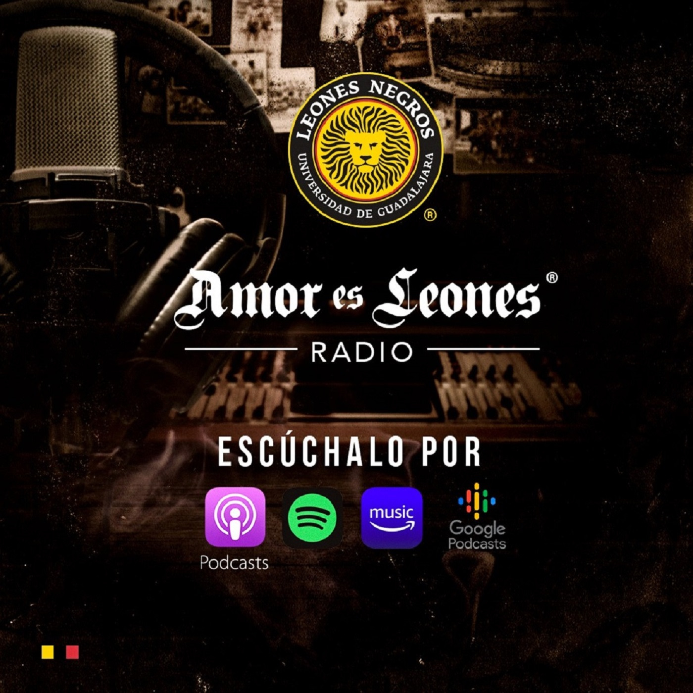 AMOR ES LEONES