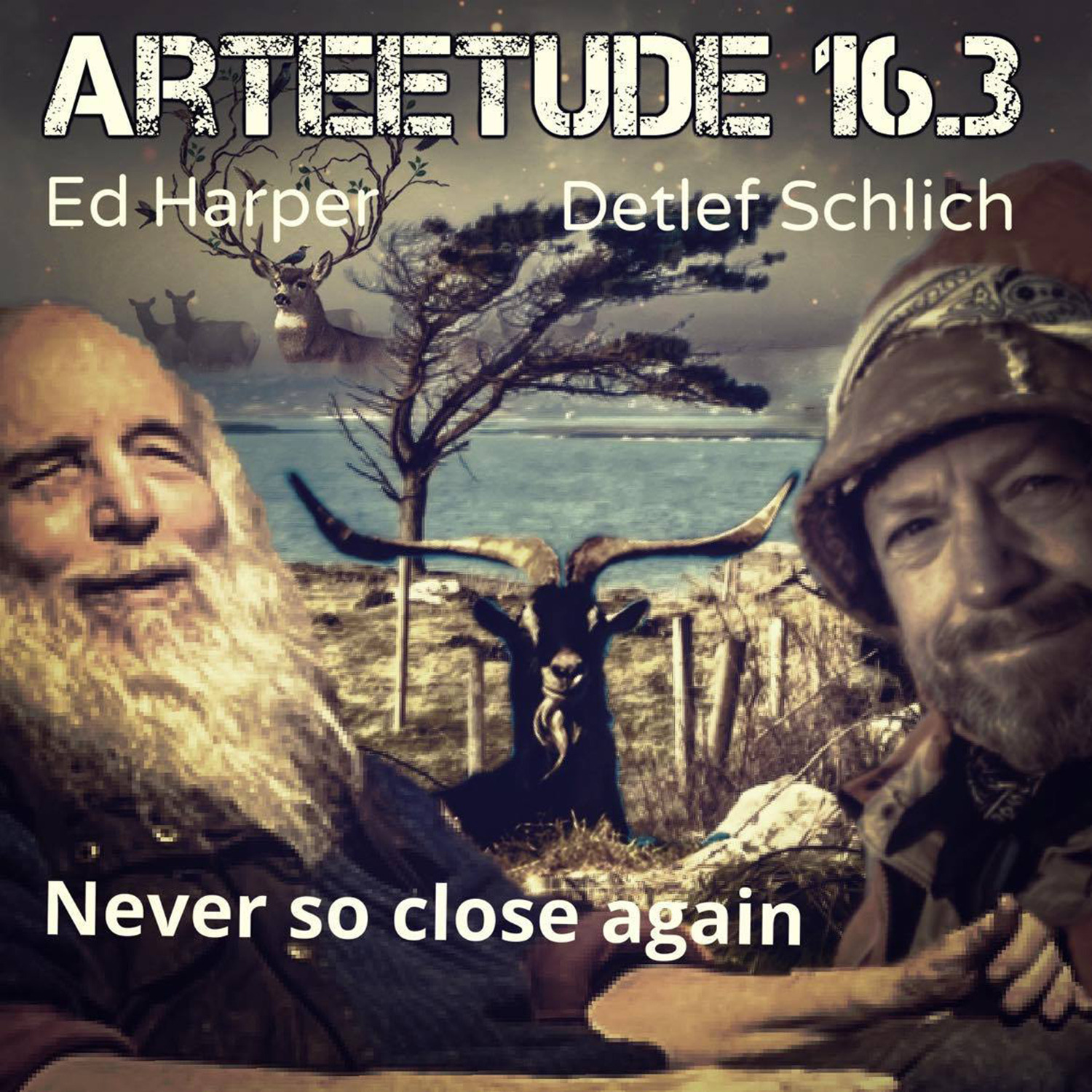 16.3 Irish singer/storyteller and goat-herder of Cape Clear   Ed Harper and Detlef Schlich in an ArTEEtude talk about Harper´s life and the advantage to be a blind goat-herder and more.
