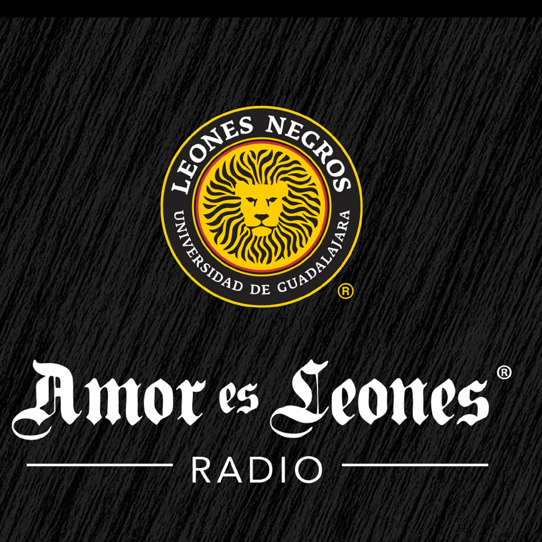 Leyenda de Leones Negros: 'Cayo' Díaz episode artwork