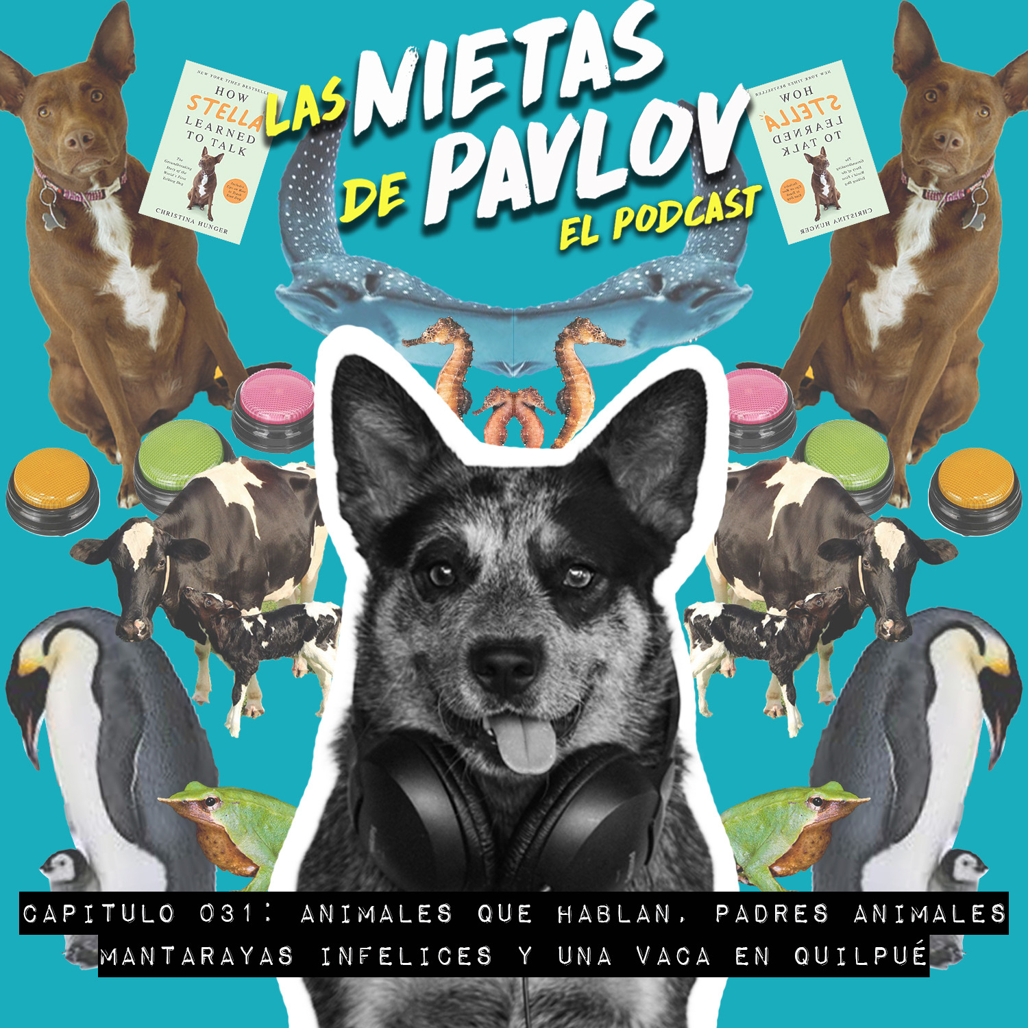 Las Nietas de Pavlov