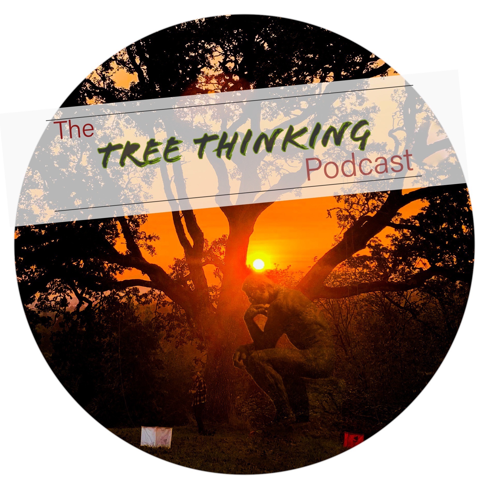 The Tree Thinking Podcast