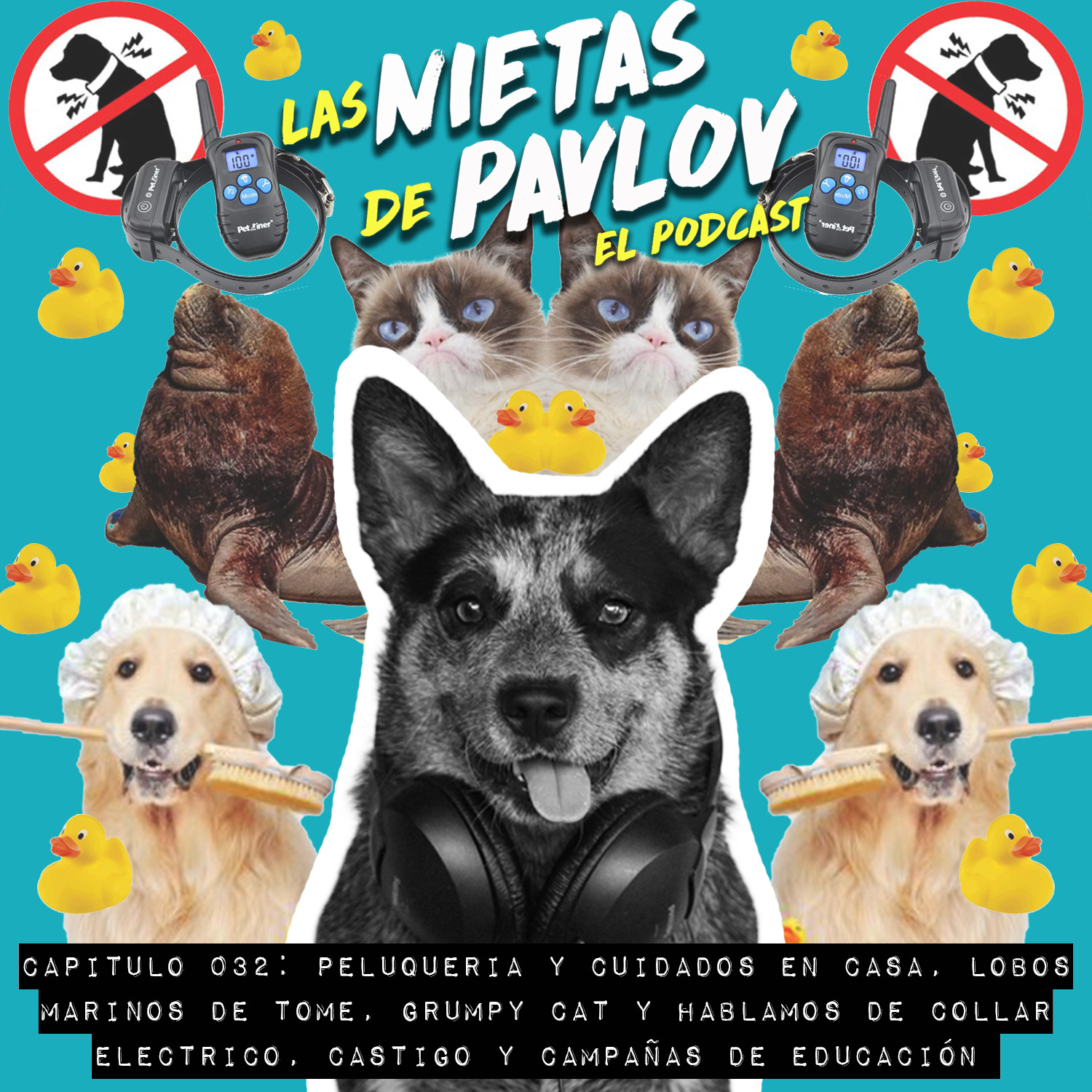 Las Nietas de Pavlov