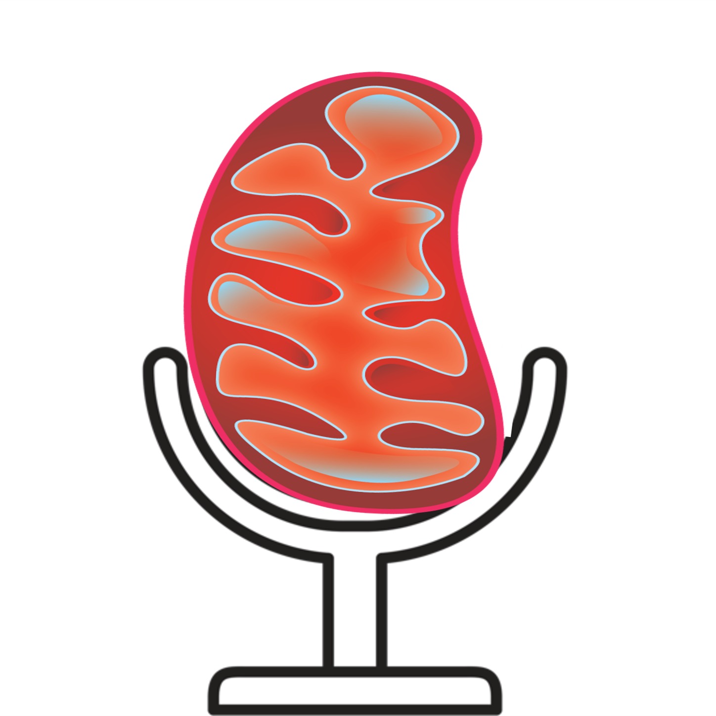 Bioblast #002 Mitohondrije u insulinskoj rezistenciji i dijabetesu, gosti Milica Stoiljković-lekar specijalista interne medicine i Kasja Pavlović-molekularni biolog episode artwork