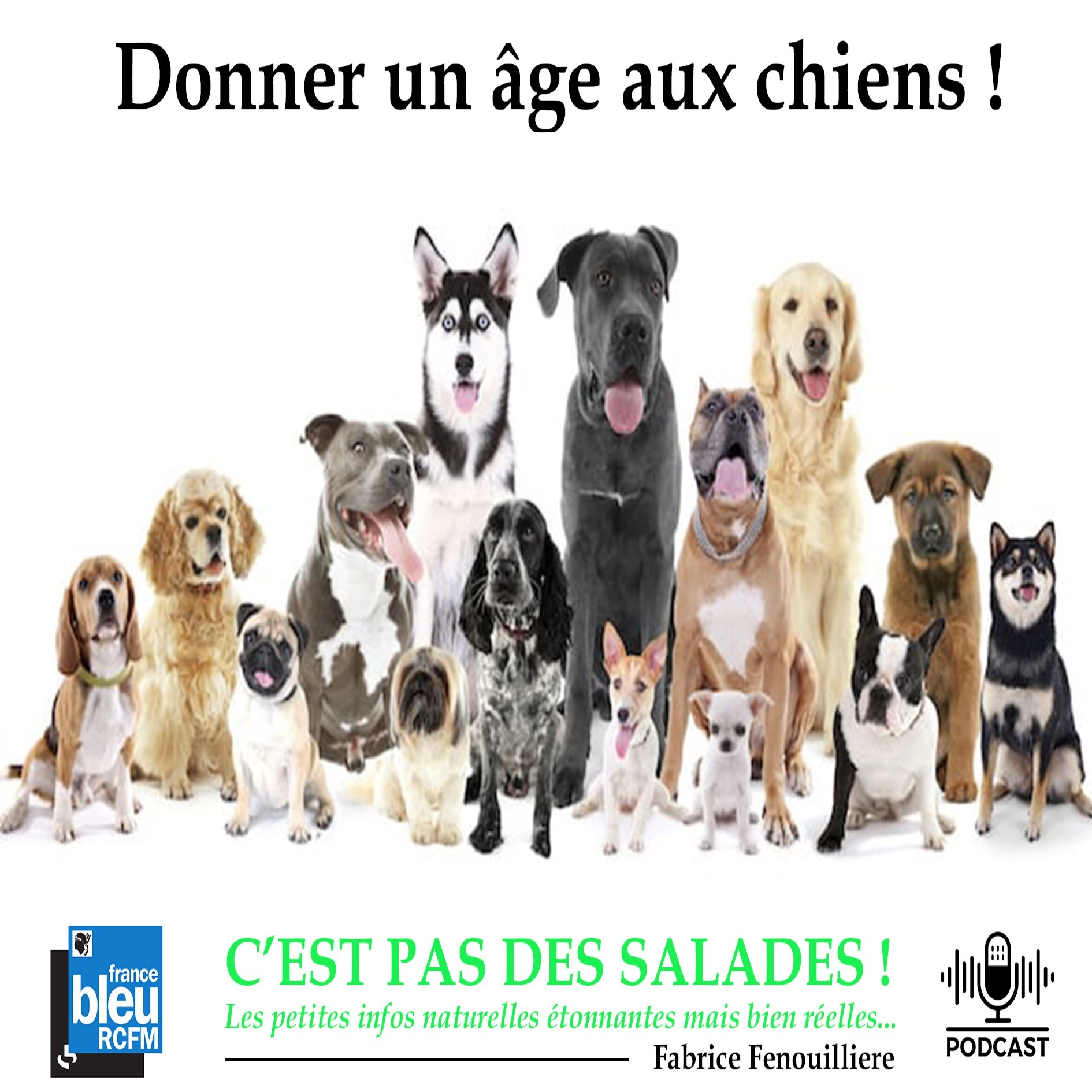 Les podcasts du Parc Galea : C\'est pas des salades