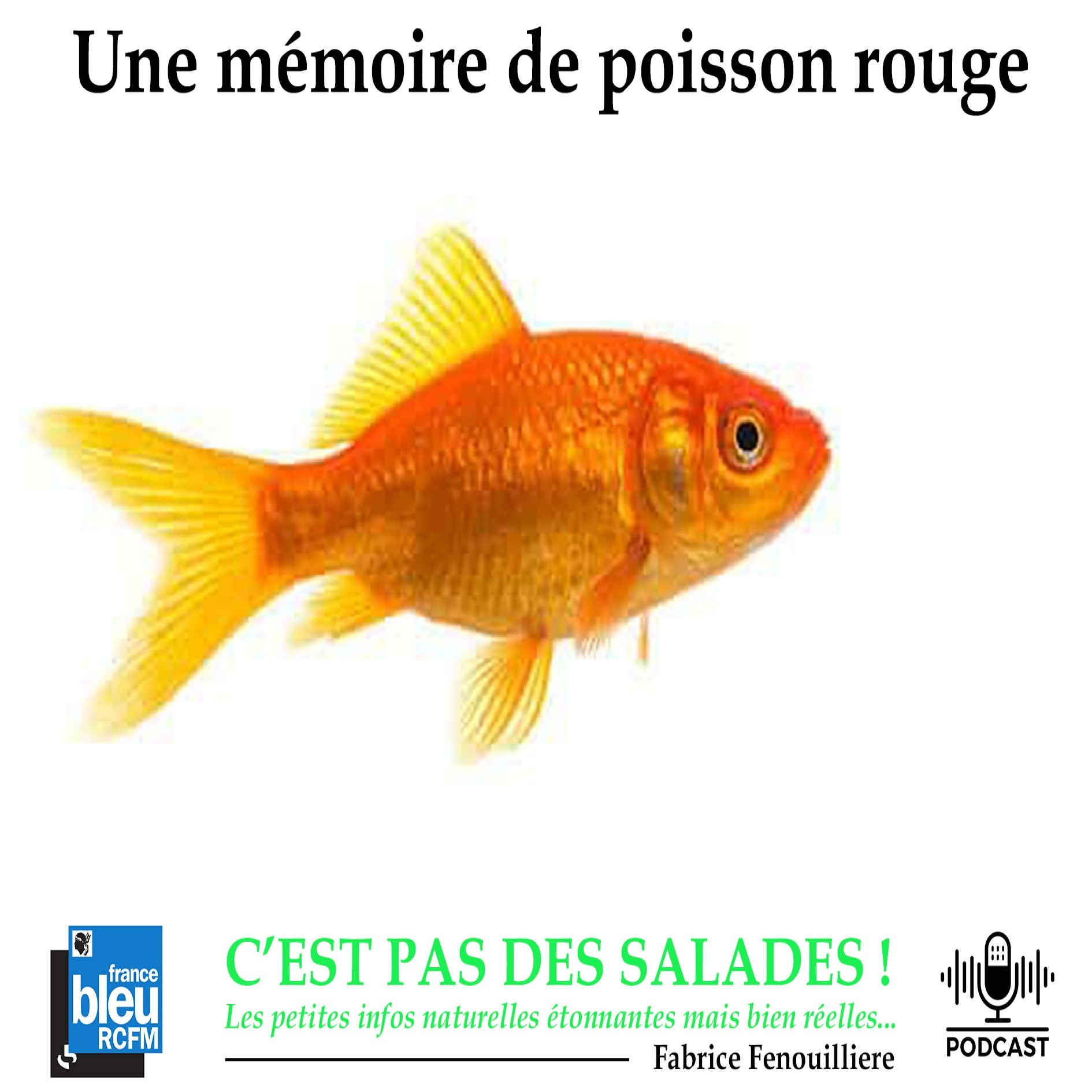 Les podcasts du Parc Galea : C\'est pas des salades