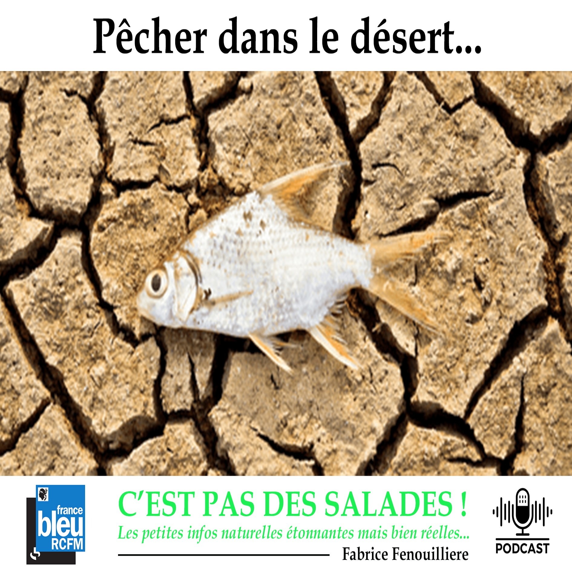 Les podcasts du Parc Galea : C\'est pas des salades