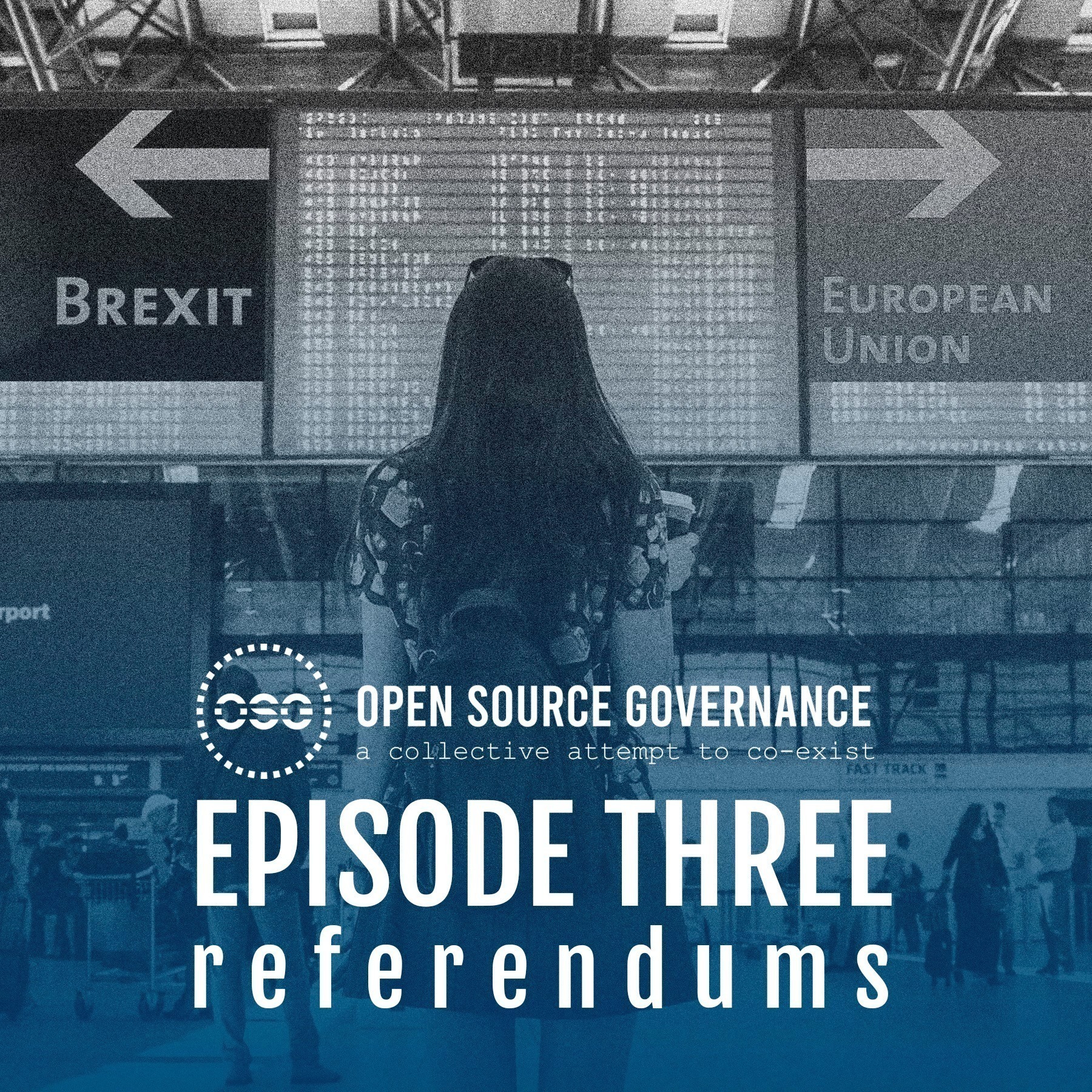 episode #3, Referendums and different voting systems episode artwork