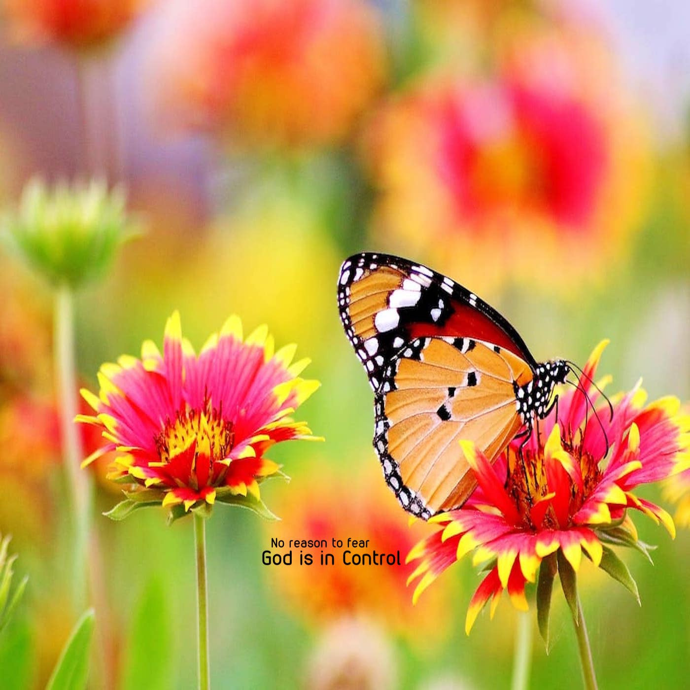 No reason to fear - God is in control