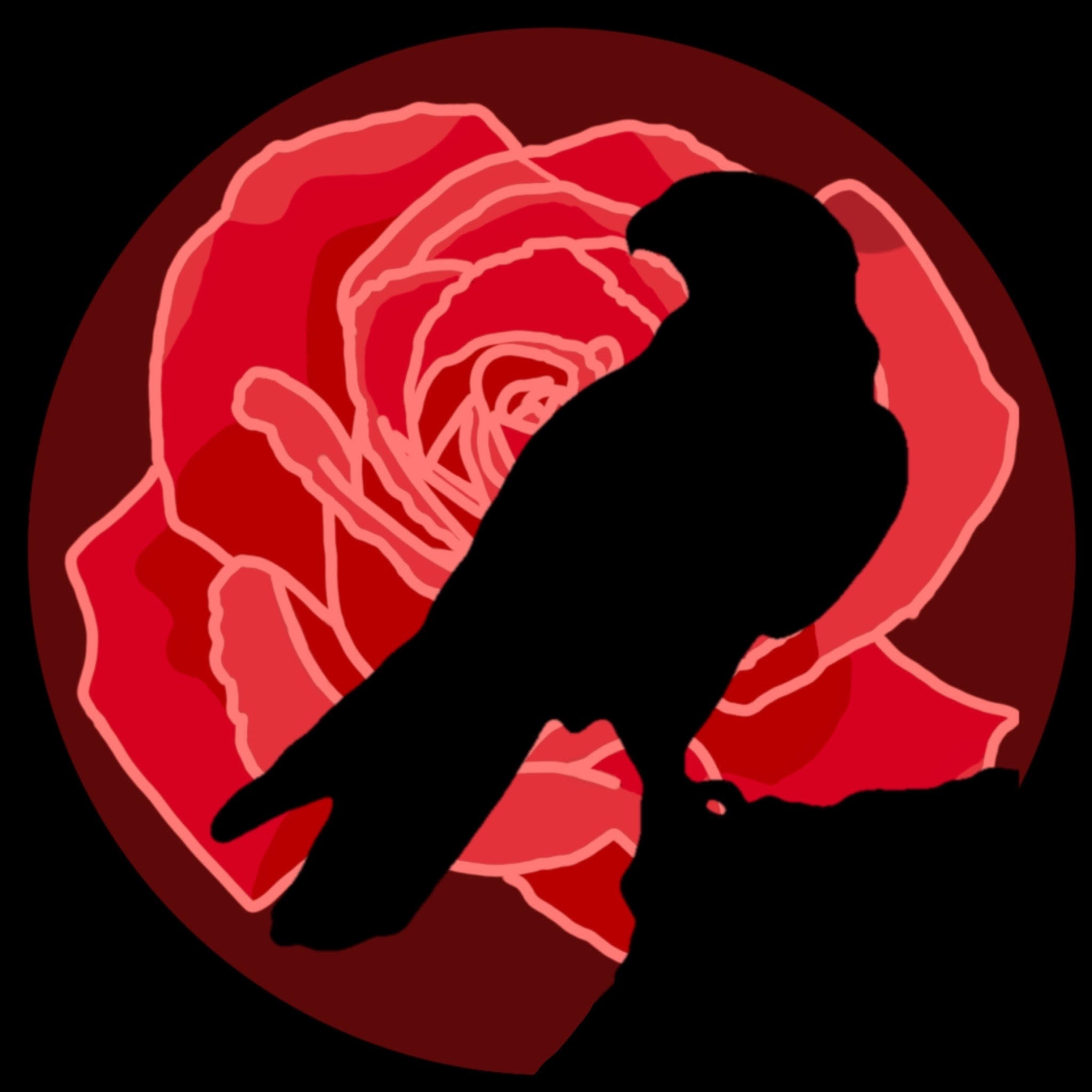 Audio Player Image