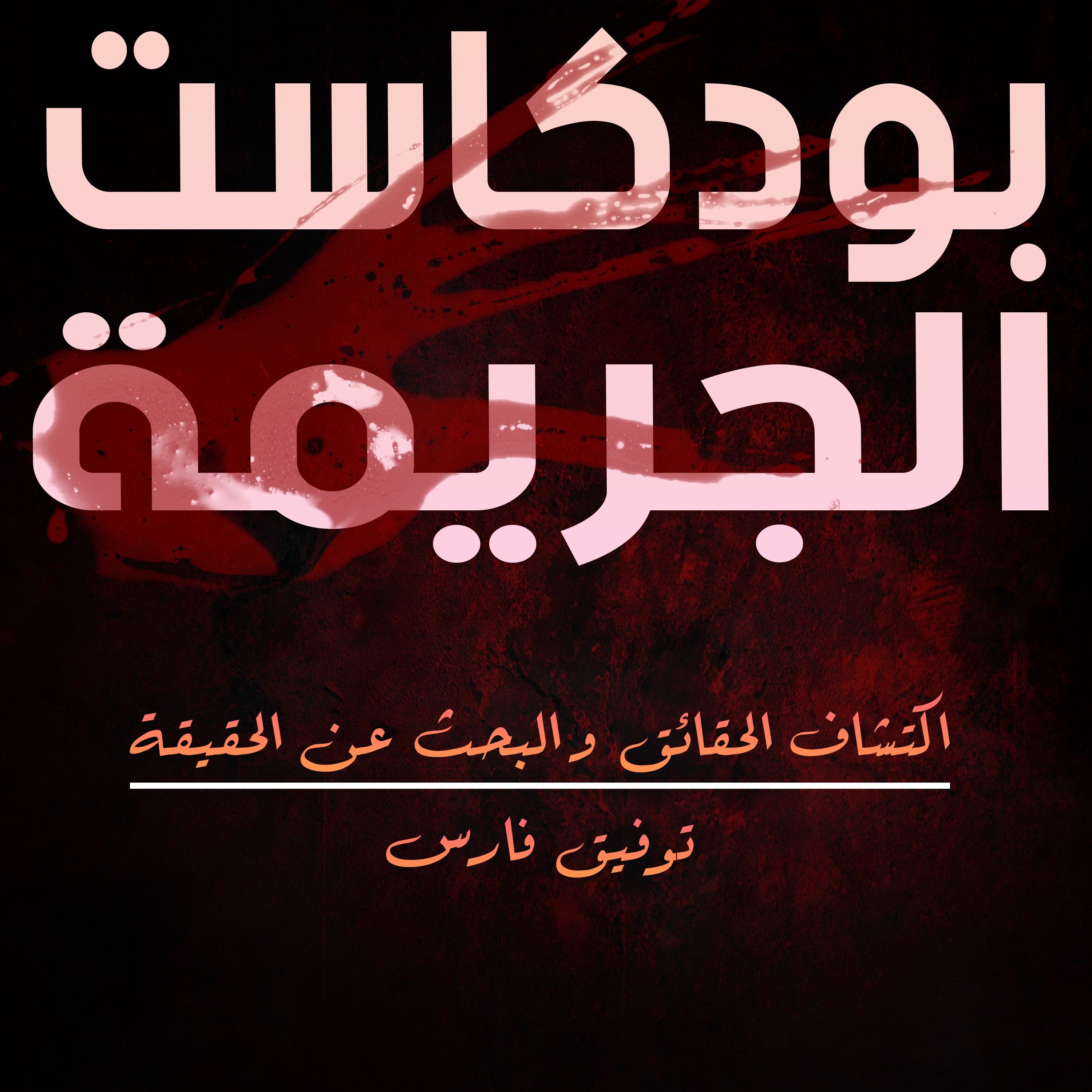 Audio Player Image