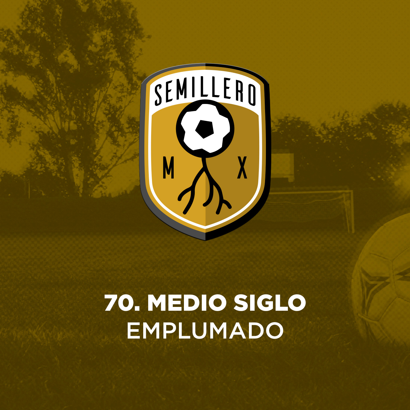 70. Medio Siglo Emplumado episode artwork
