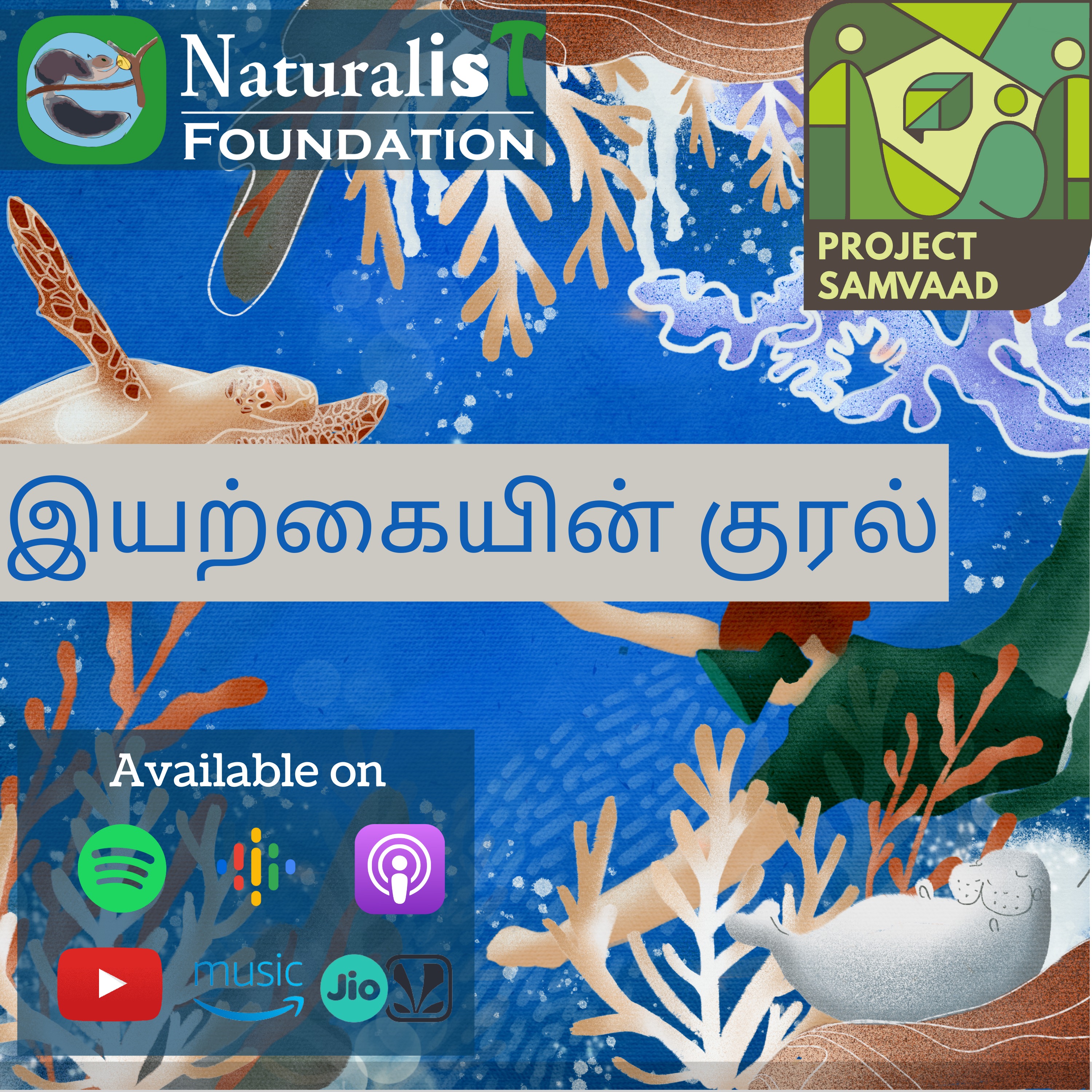 Audio Player Image