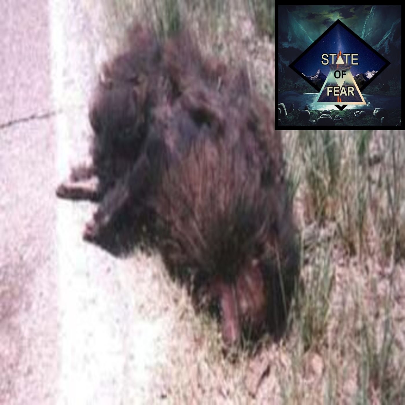 State of Fear Podcast