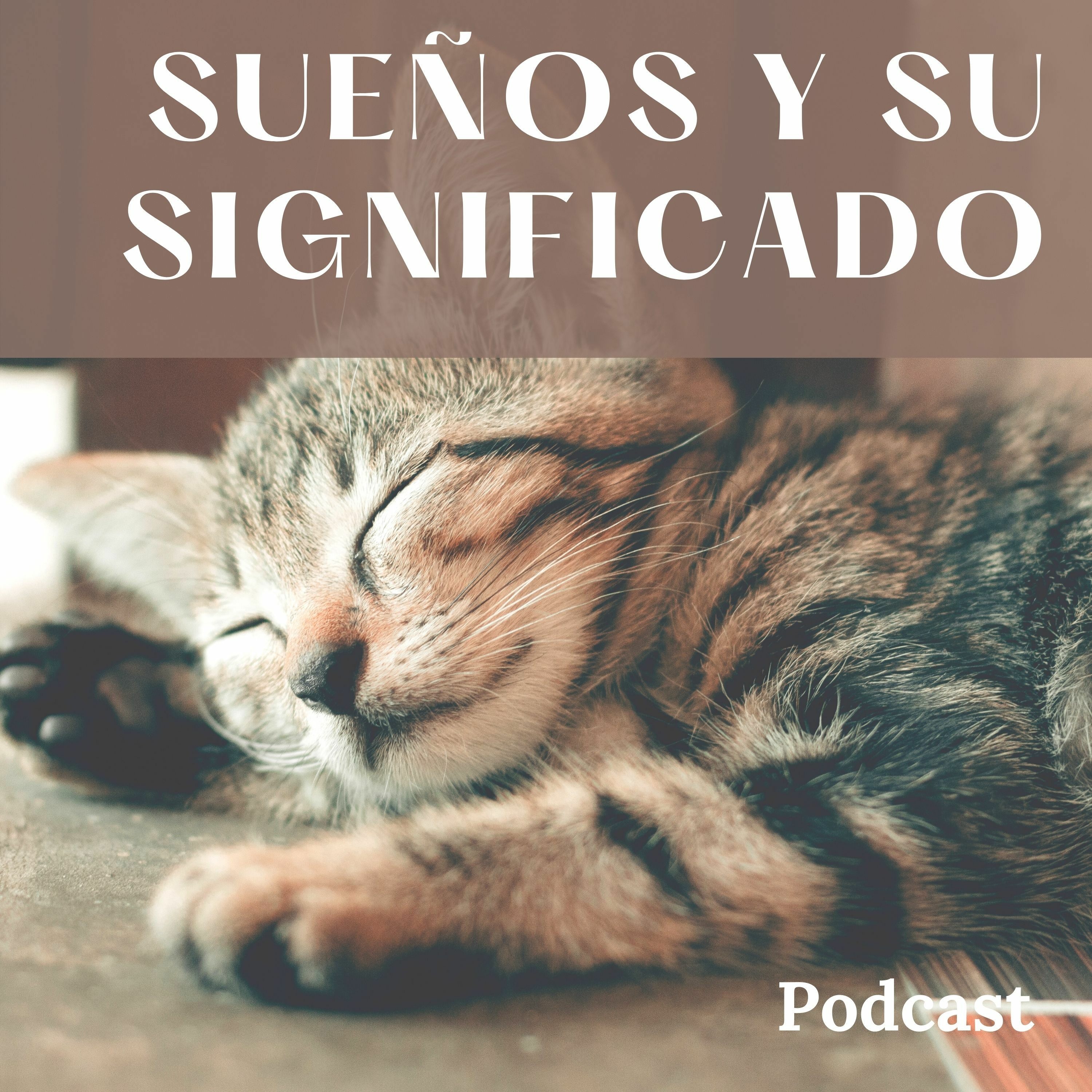 Minimalismo Simple