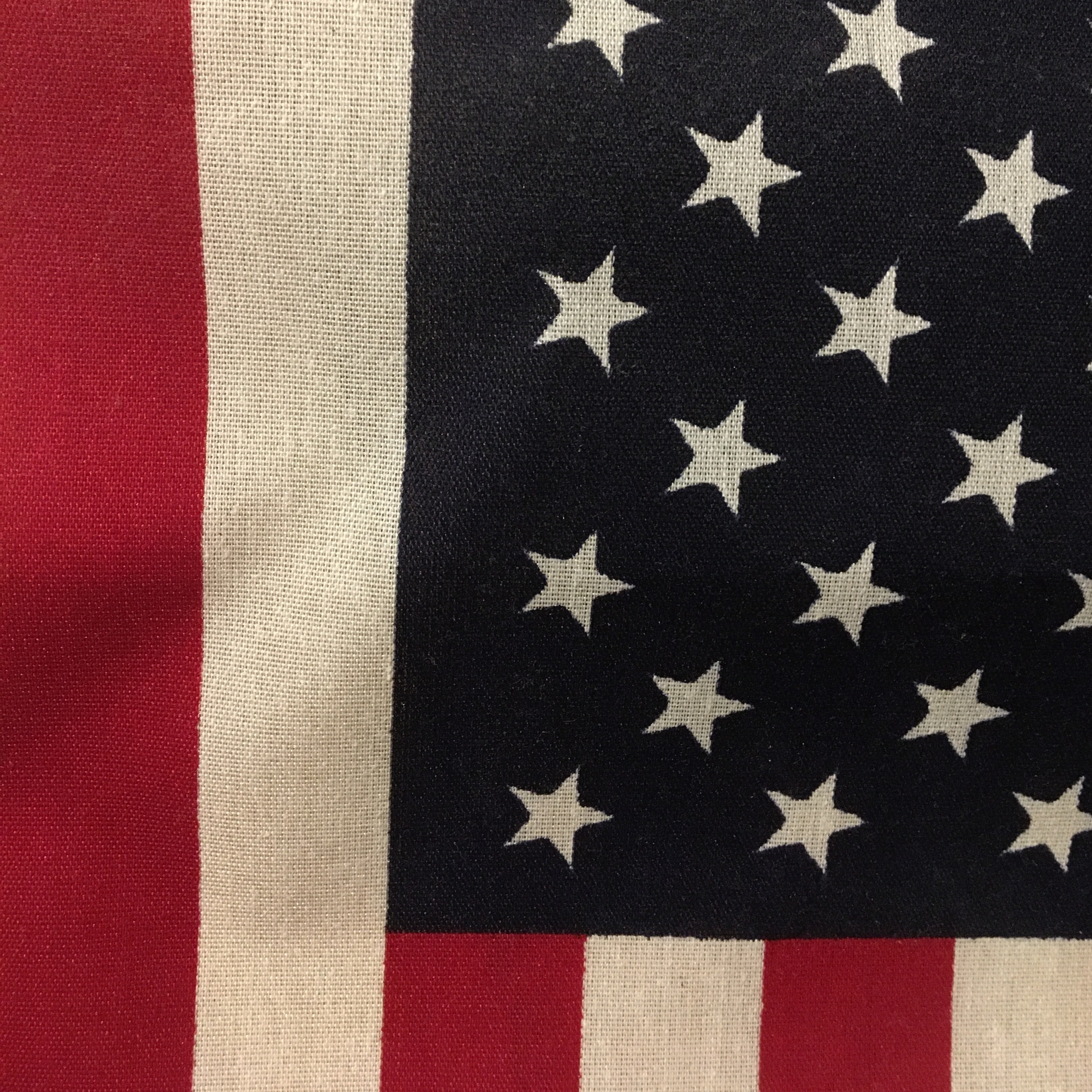 Episode #3 - History Break: The Constitution of United States Preamble