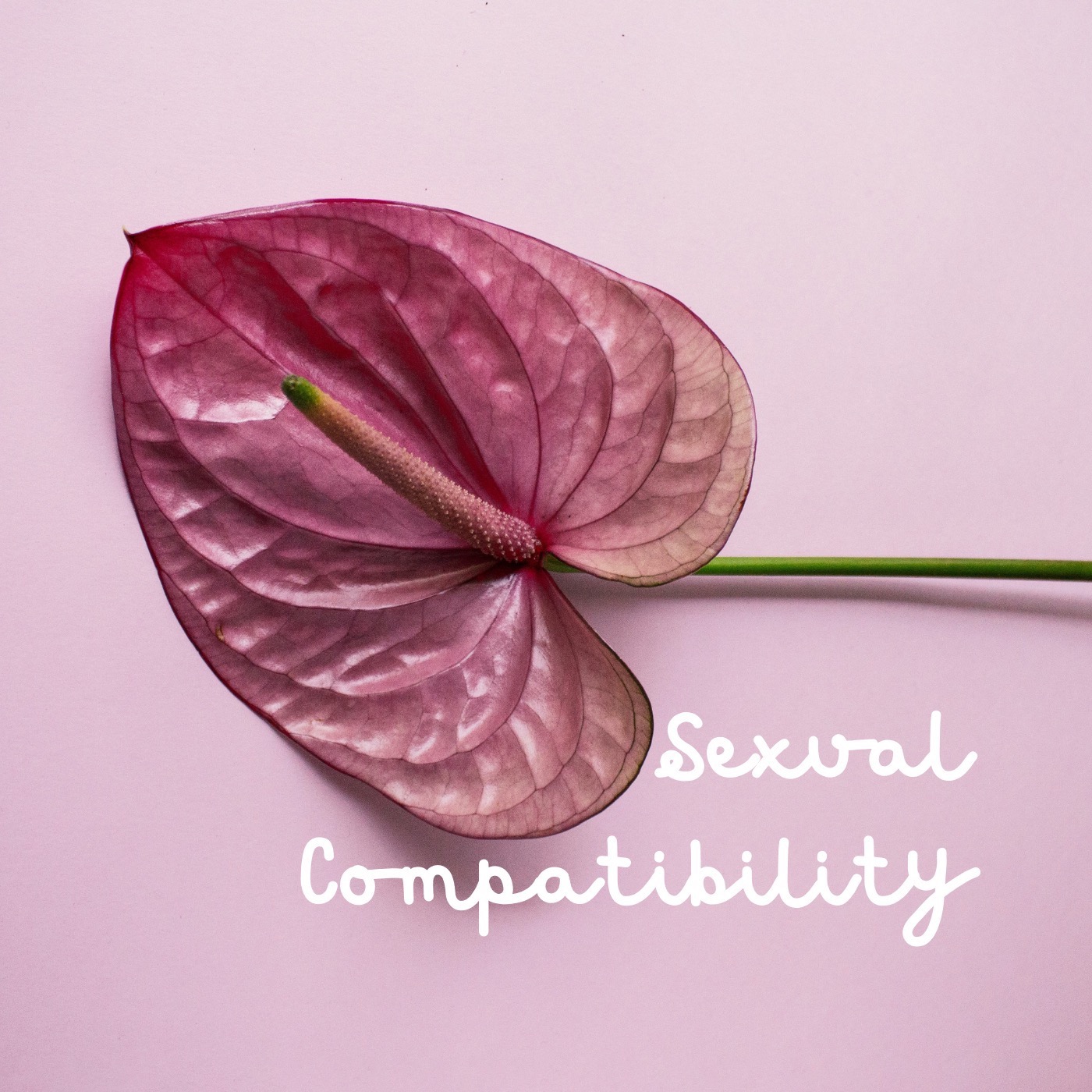 Sexual Compatibility