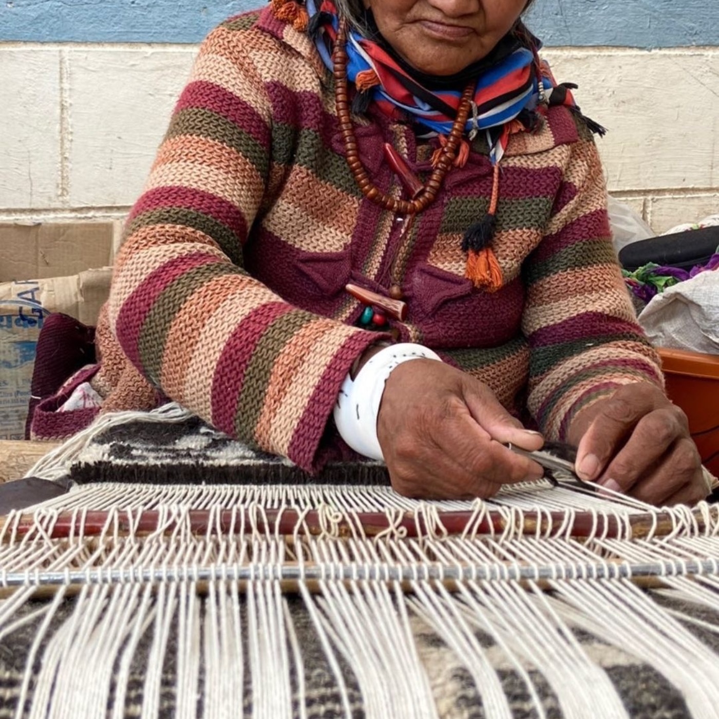 [20] Looms of Ladakh: Women-owned Wool Textile Cooperative