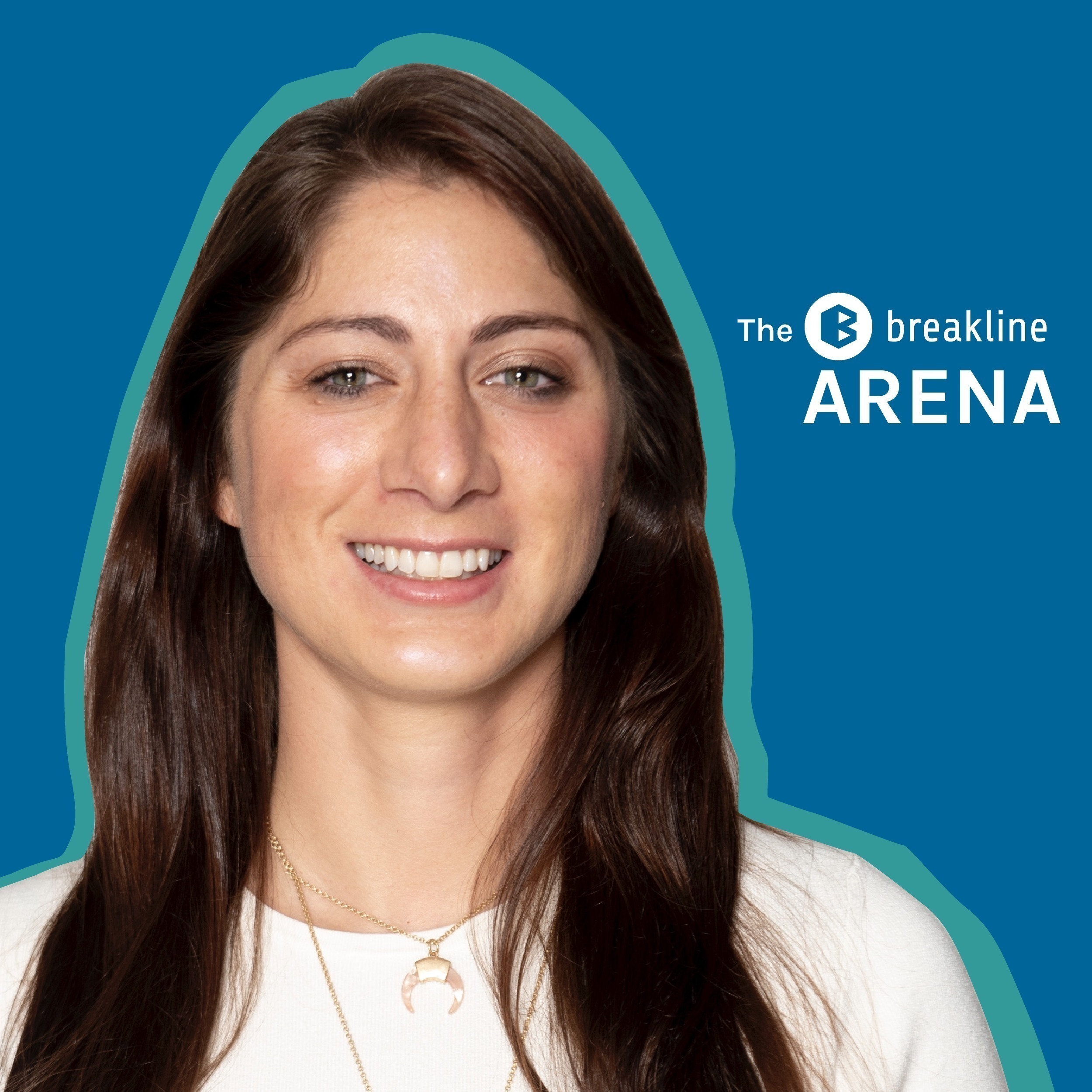 The BreakLine Arena