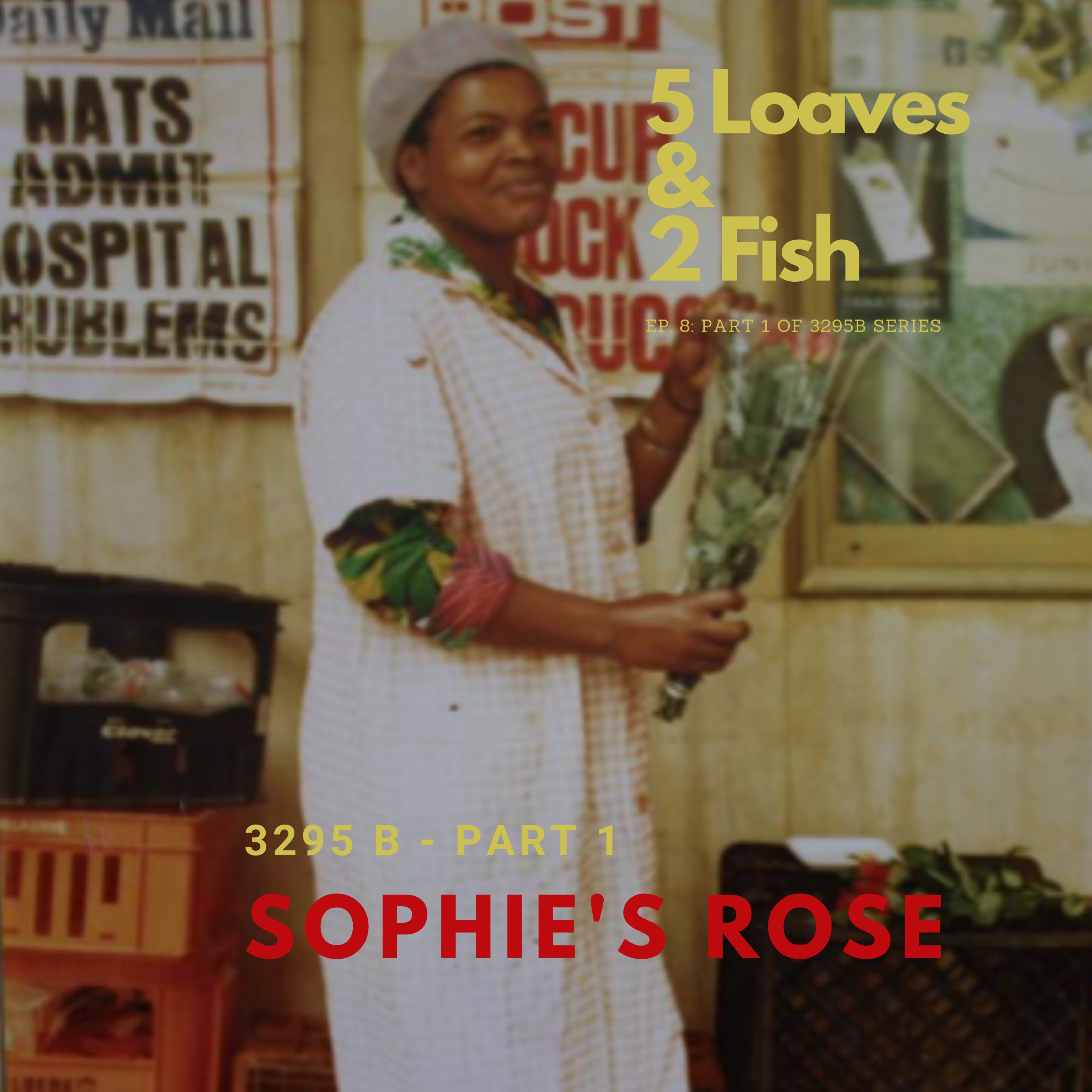 "Sophie's Rose"