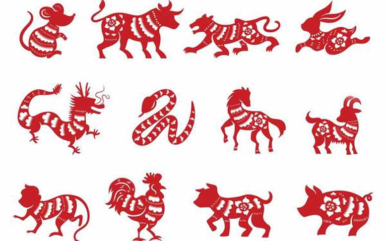 Hỏi gì? - Giải đáp mọi câu hỏi của bạn