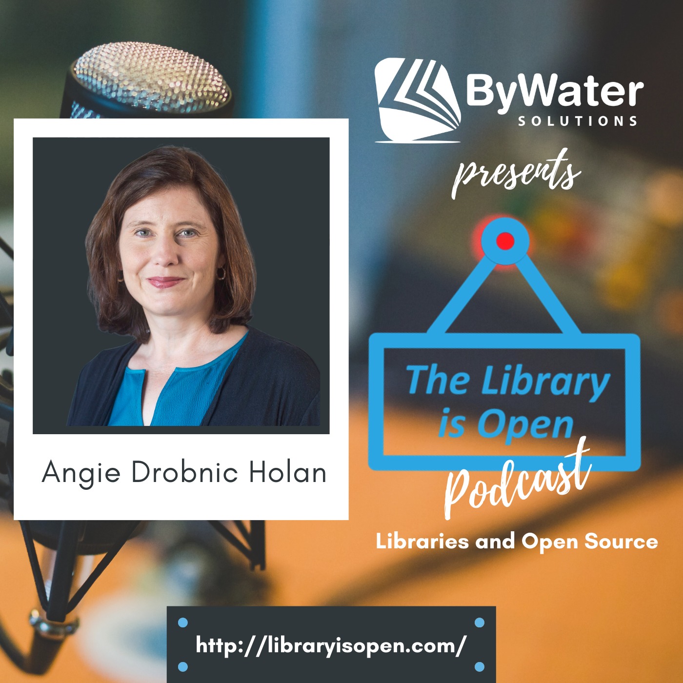 Angie Drobnic Holan - The Library is Open ep. 28 - episode artwork