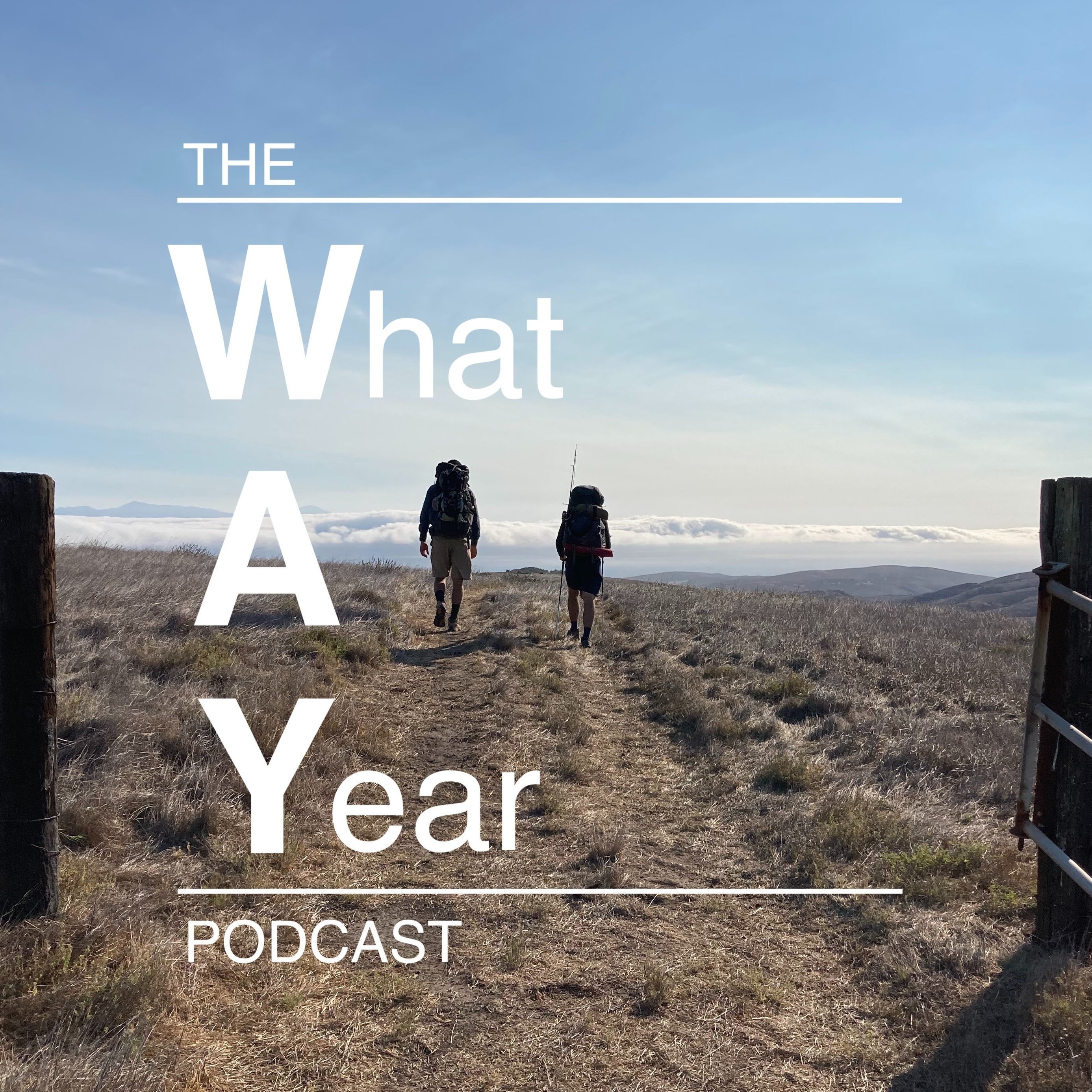 The What A Year Podcast